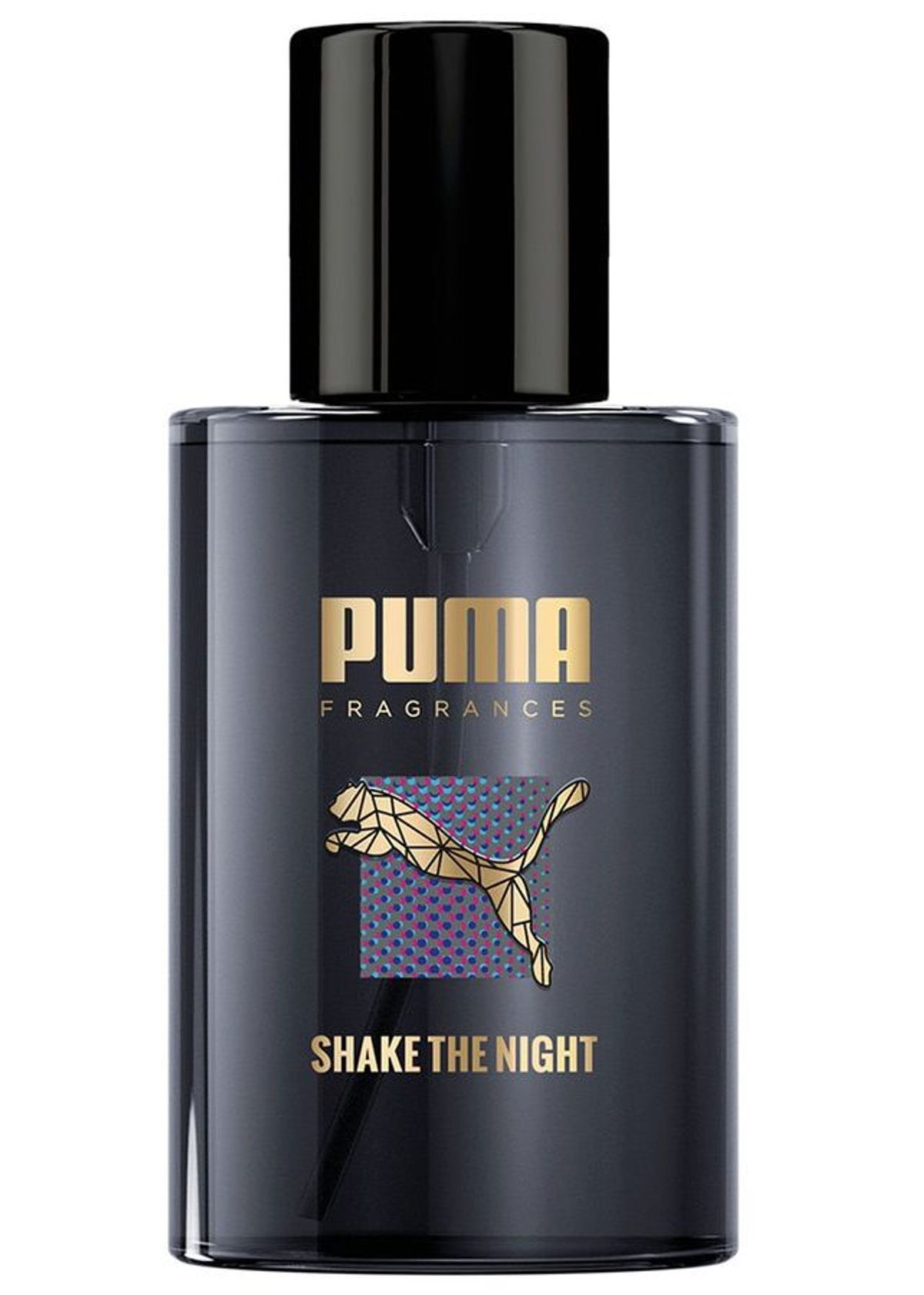 Shake The Night