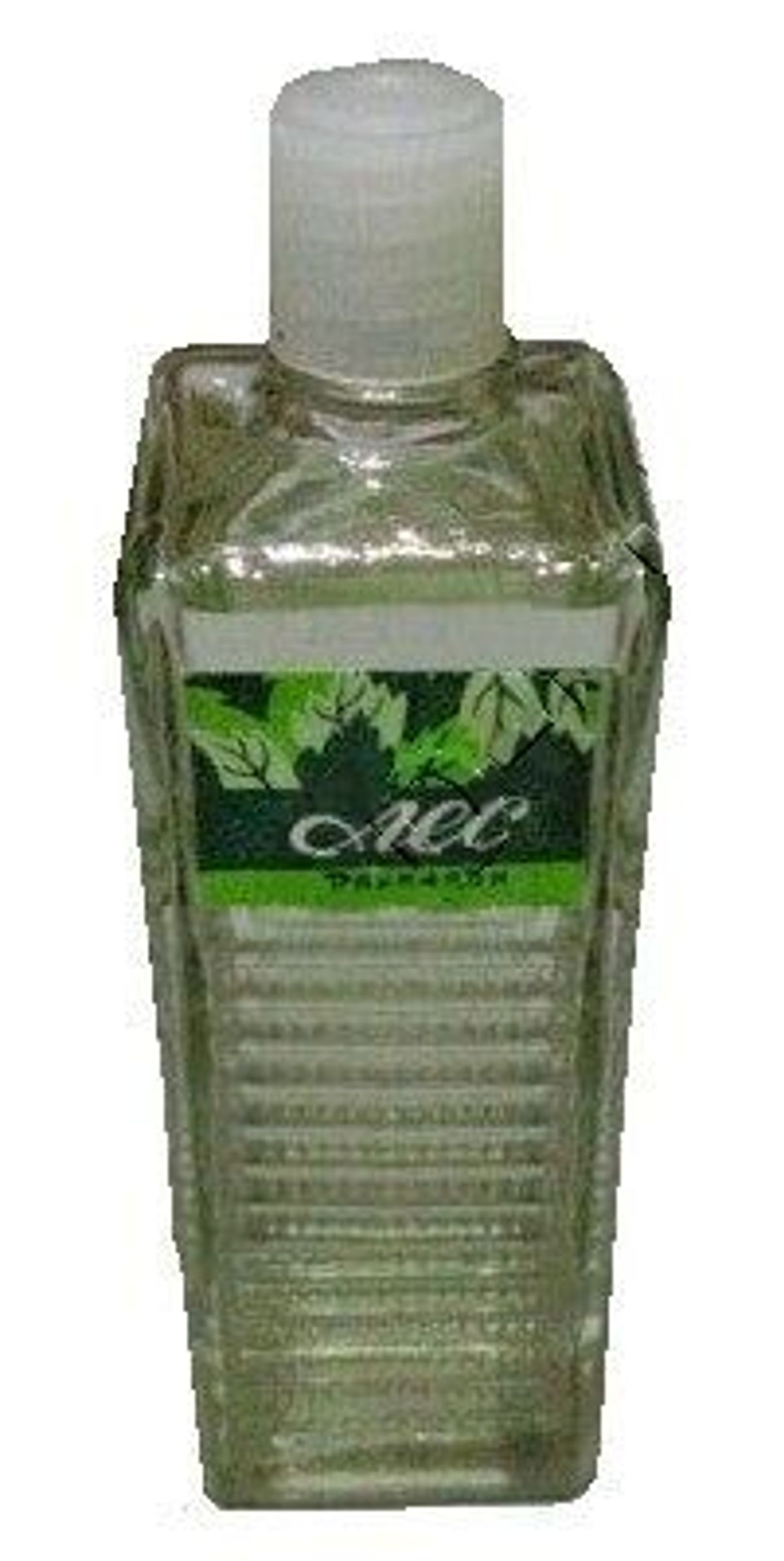 Лес (Forest)