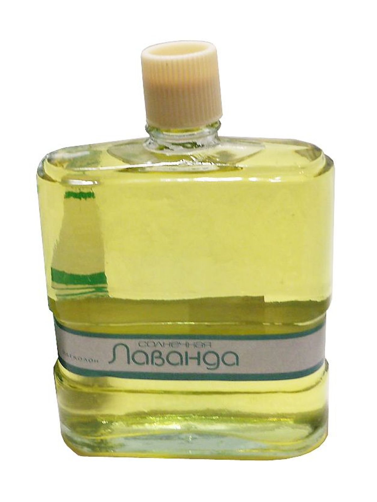 Солнечная лаванда (Sunny Lavender)