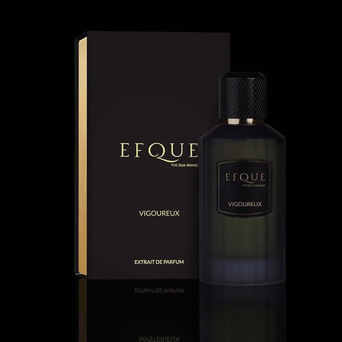 Vigoureux