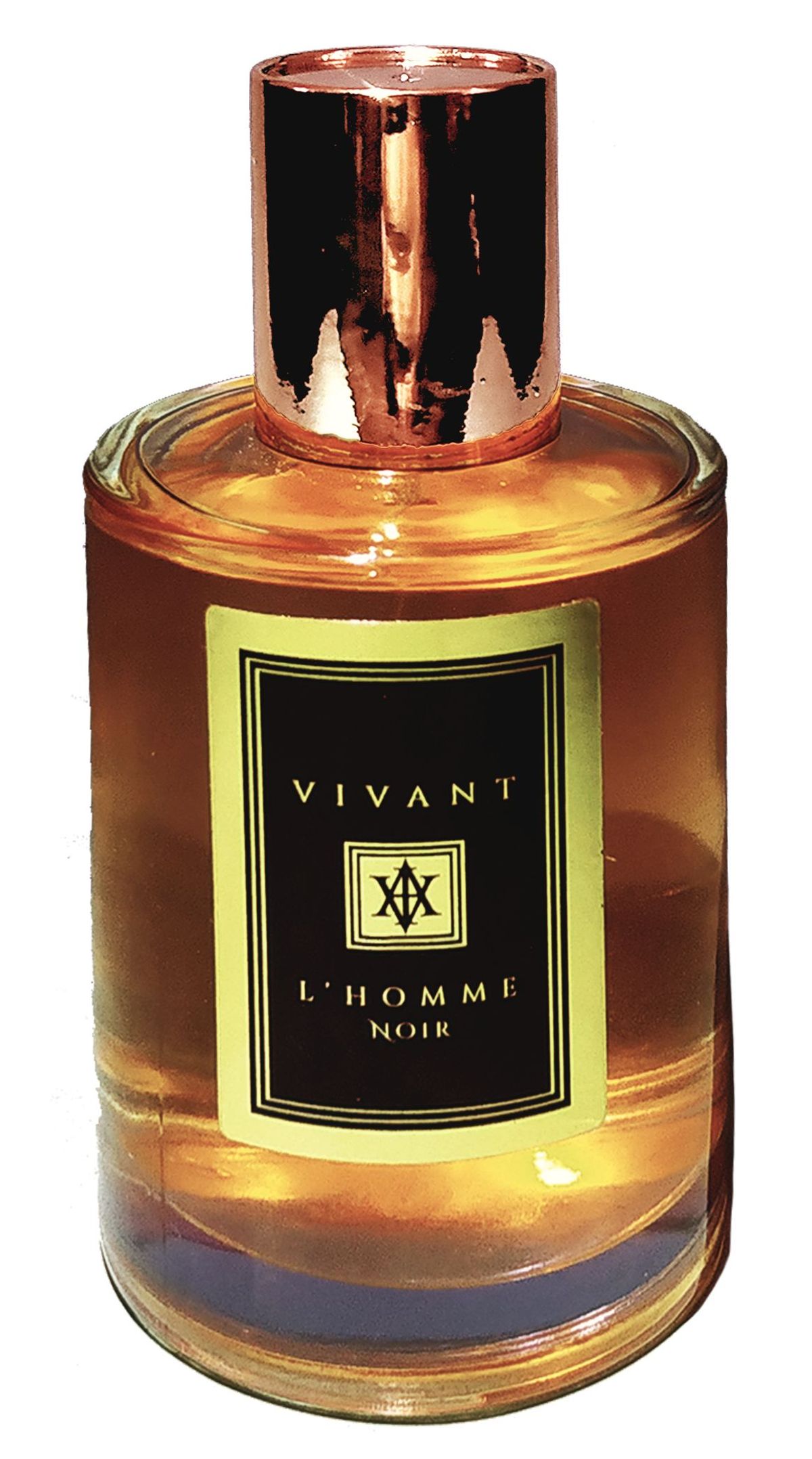 Vivant L'Homme Noir