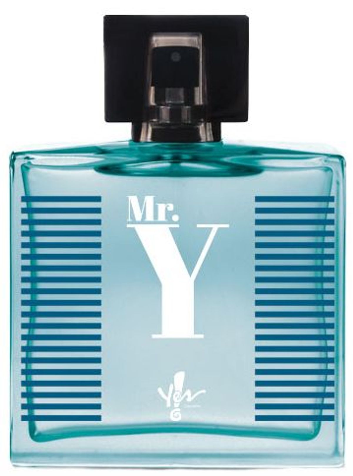 Mr. Y