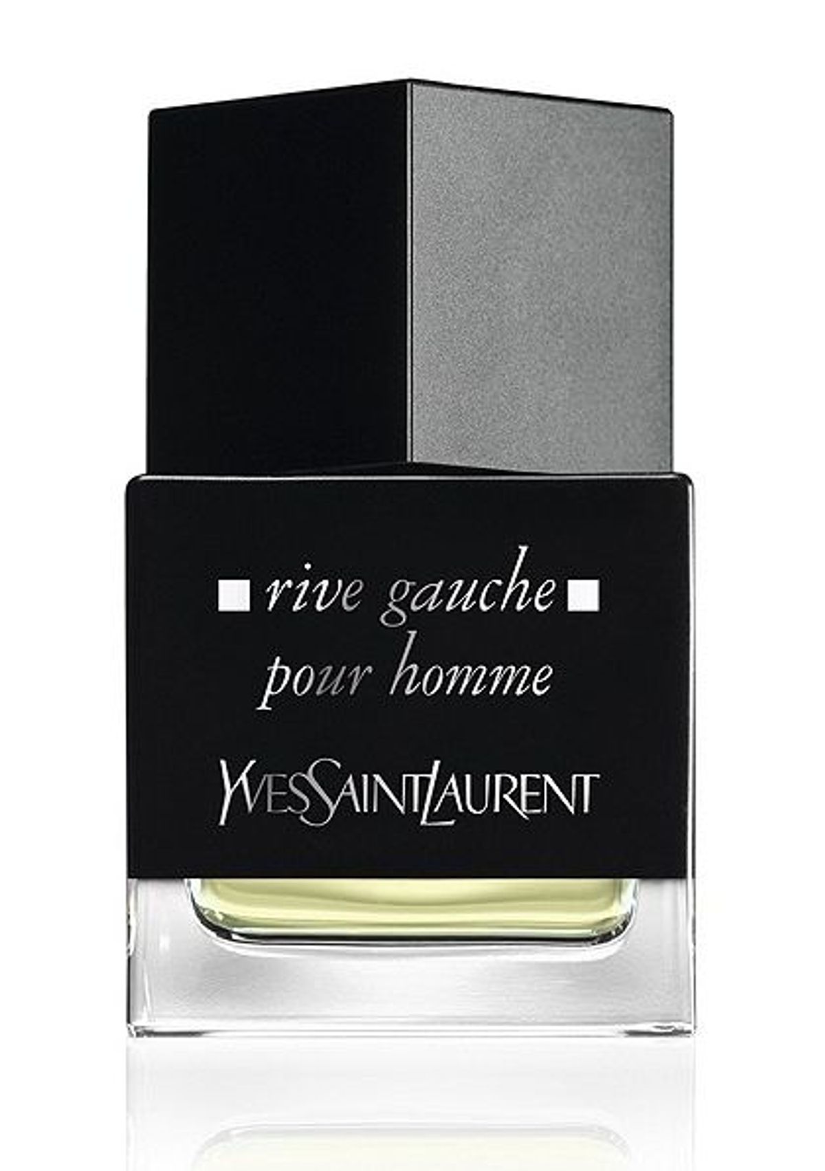 La Collection Rive Gauche Pour Homme