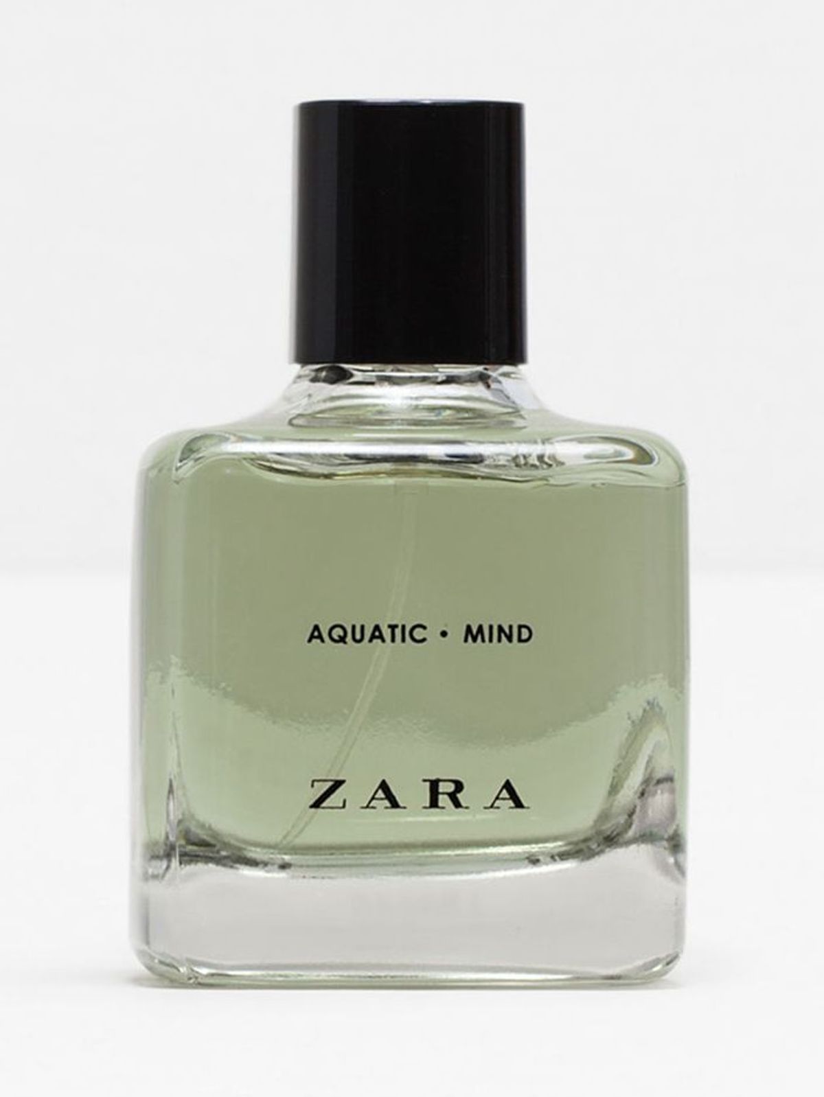 Aquatic Mind