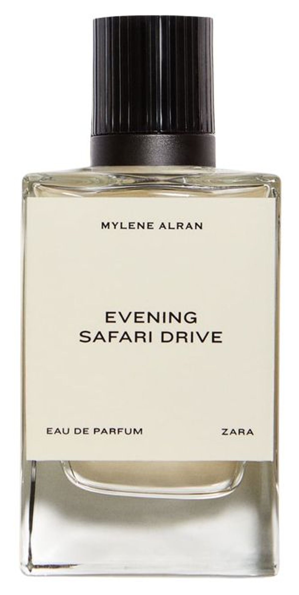 Evening Safari Drive