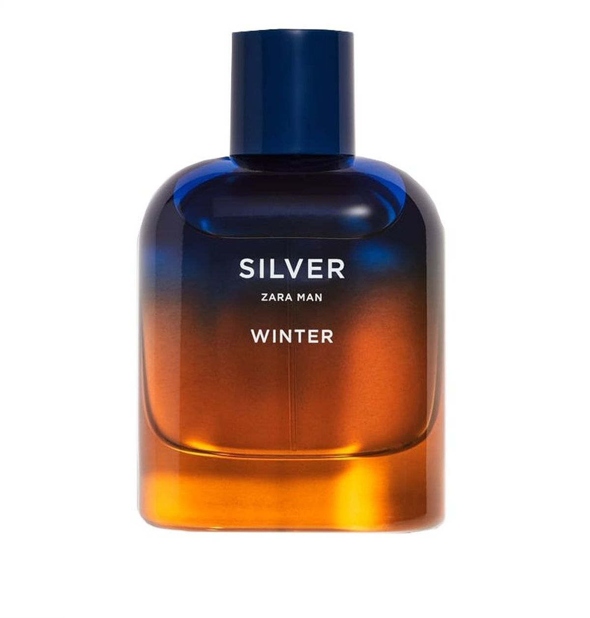 Silver Winter Zara Man