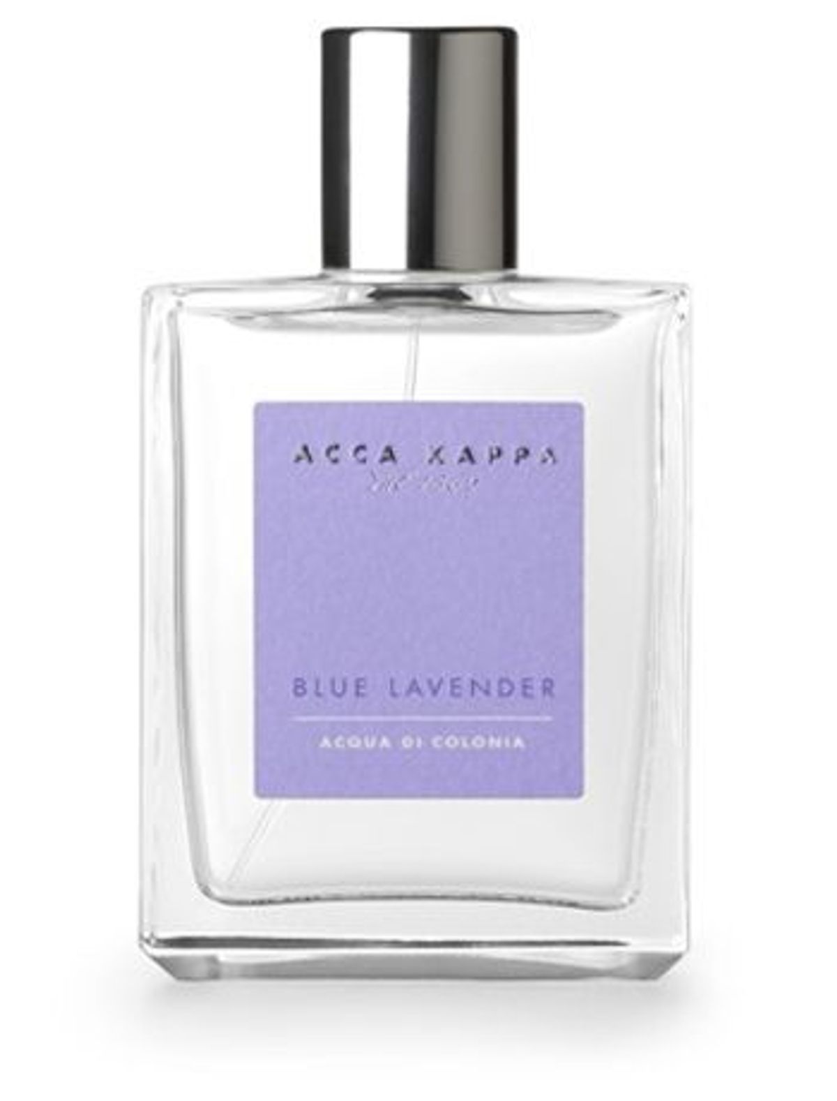 Blue Lavender