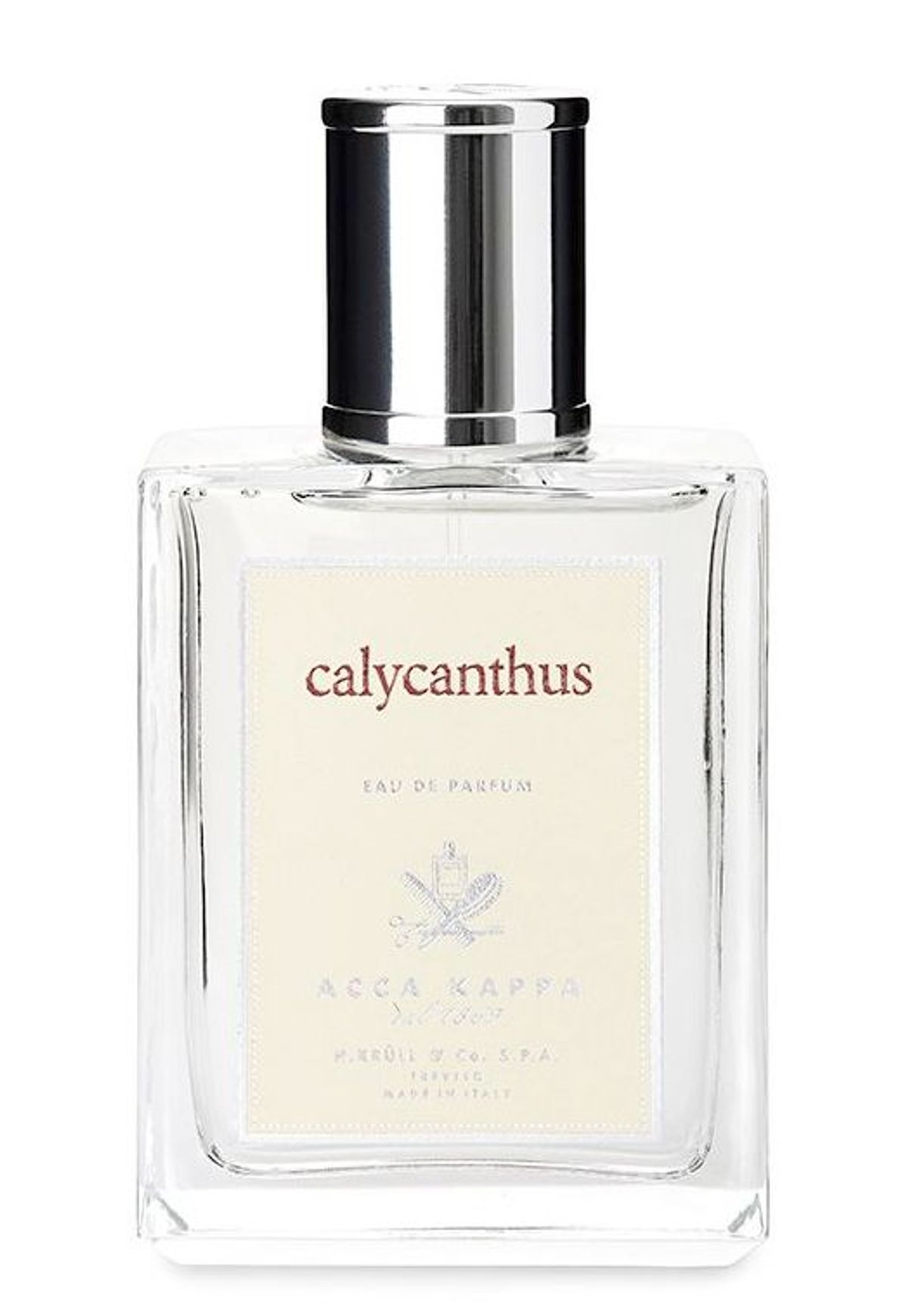 Calycanthus