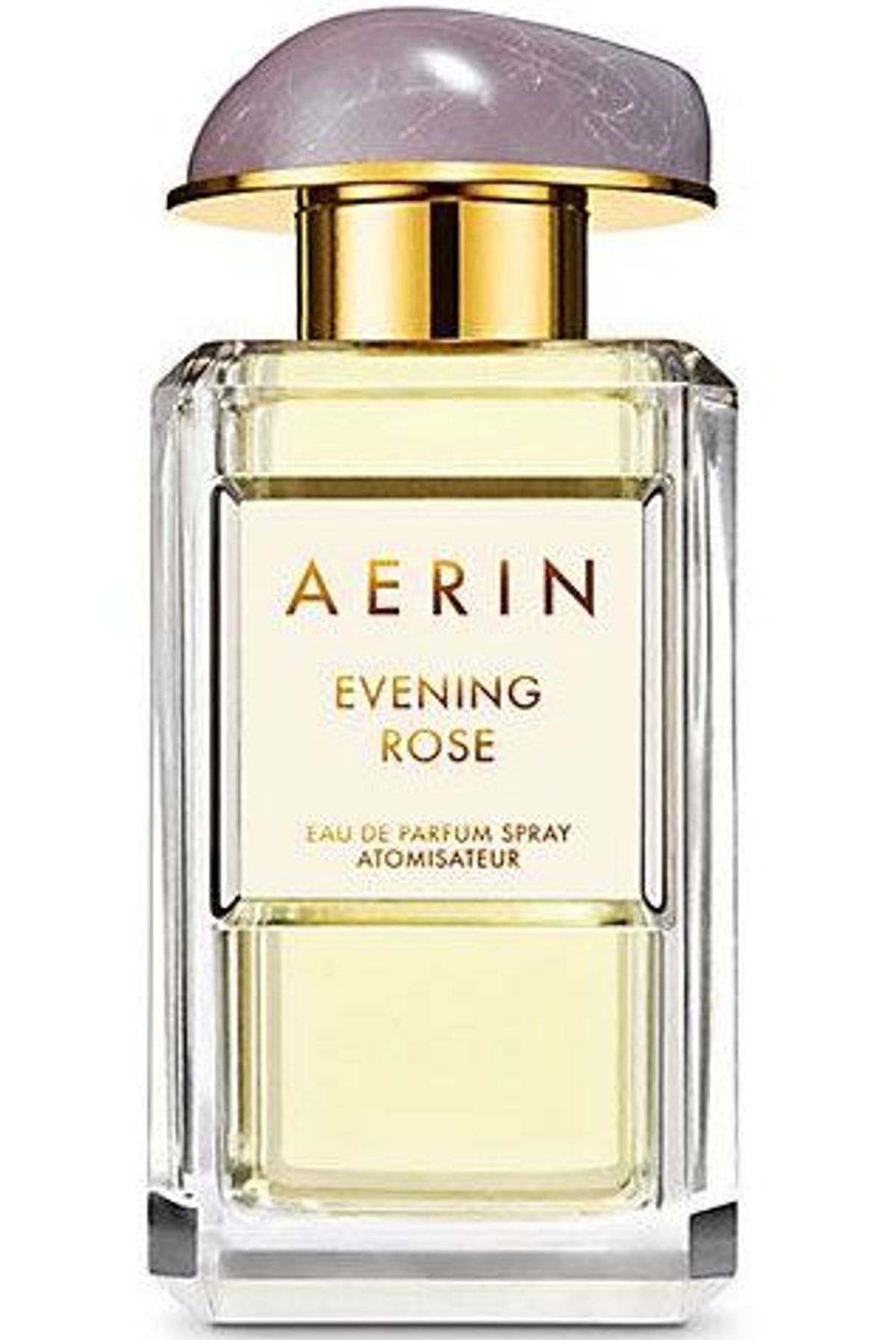 Evening Rose