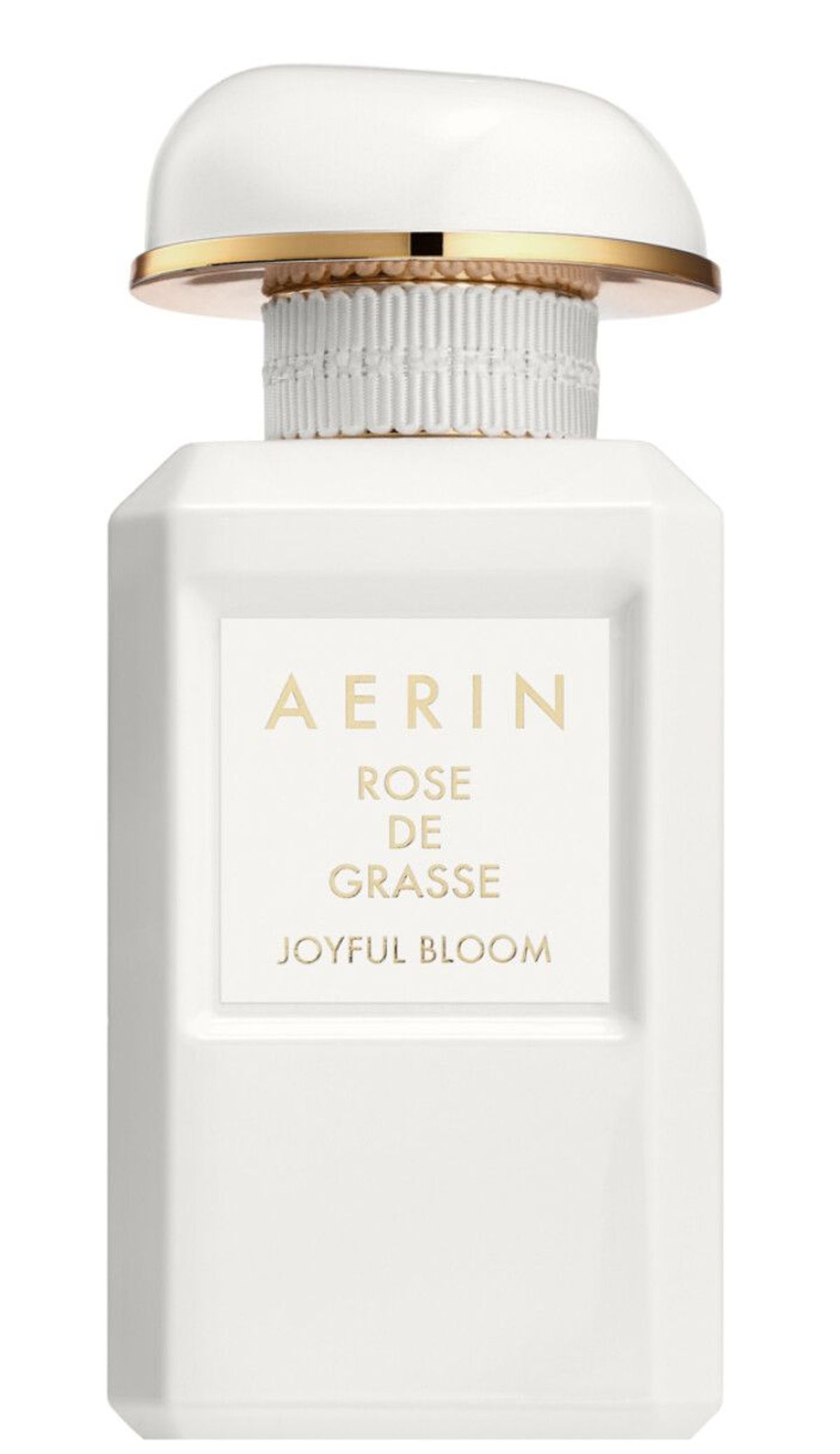 Rose de Grasse Joyful Bloom