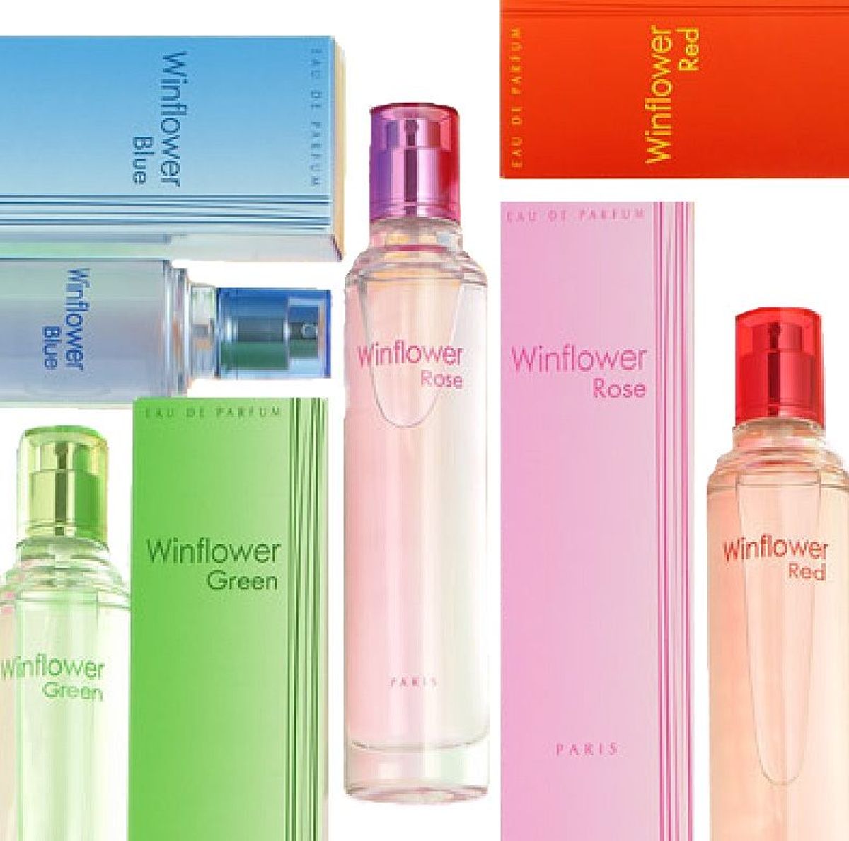 Winflower Blue