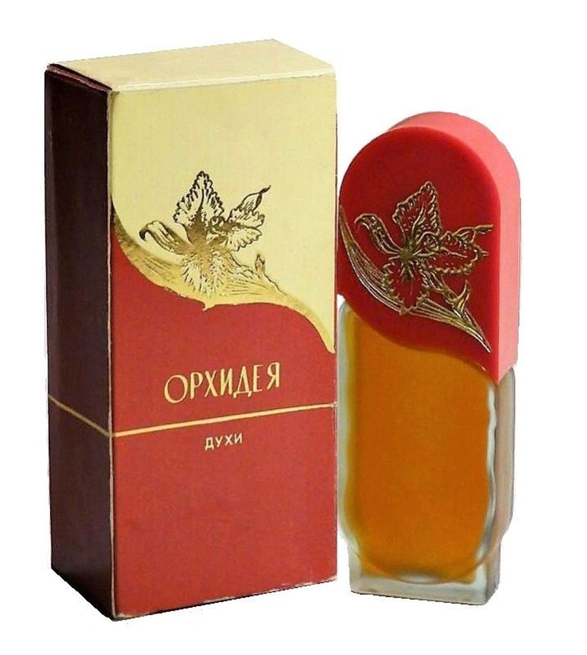 Орхидея - Orchid