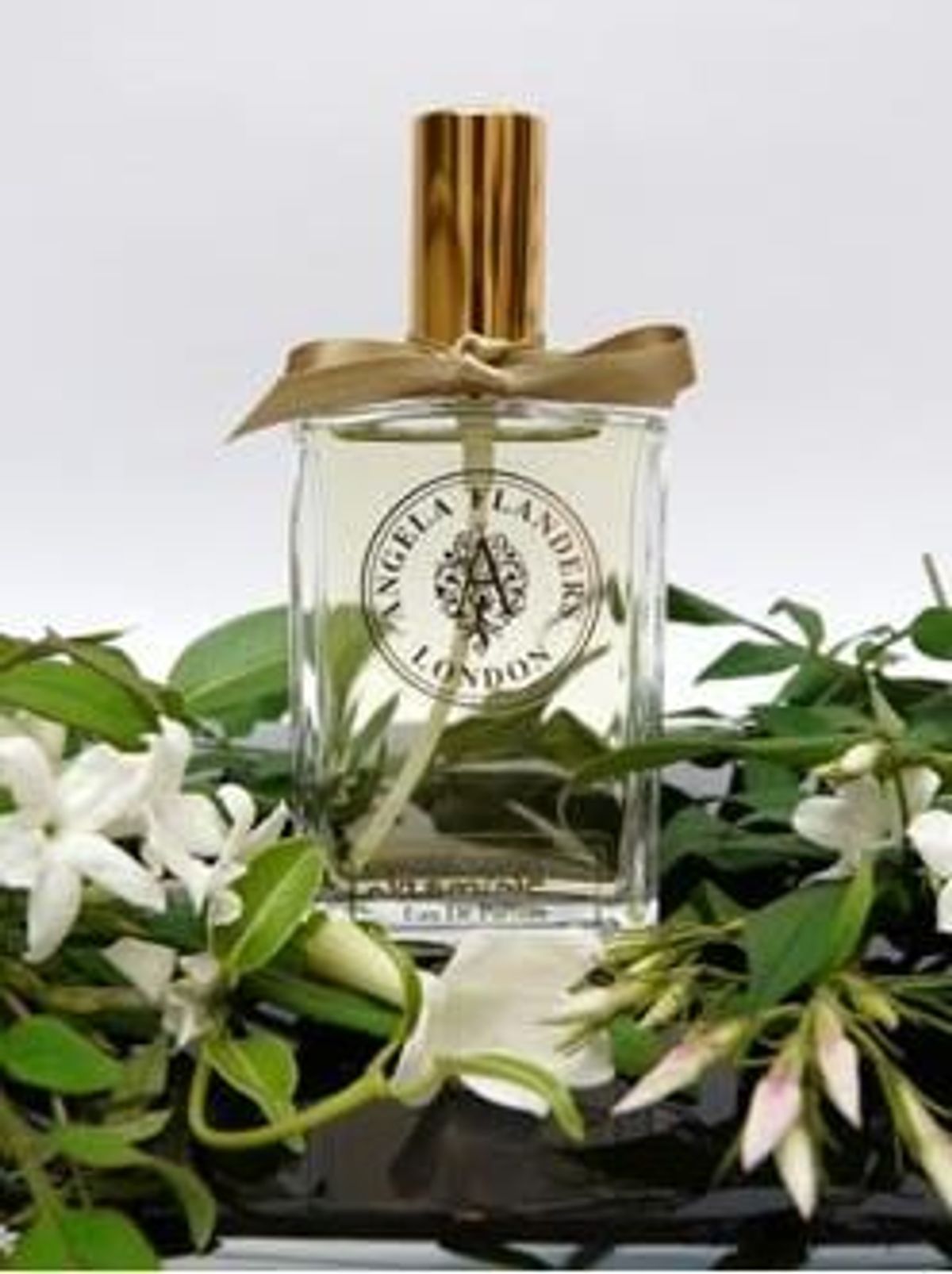 Jasmine