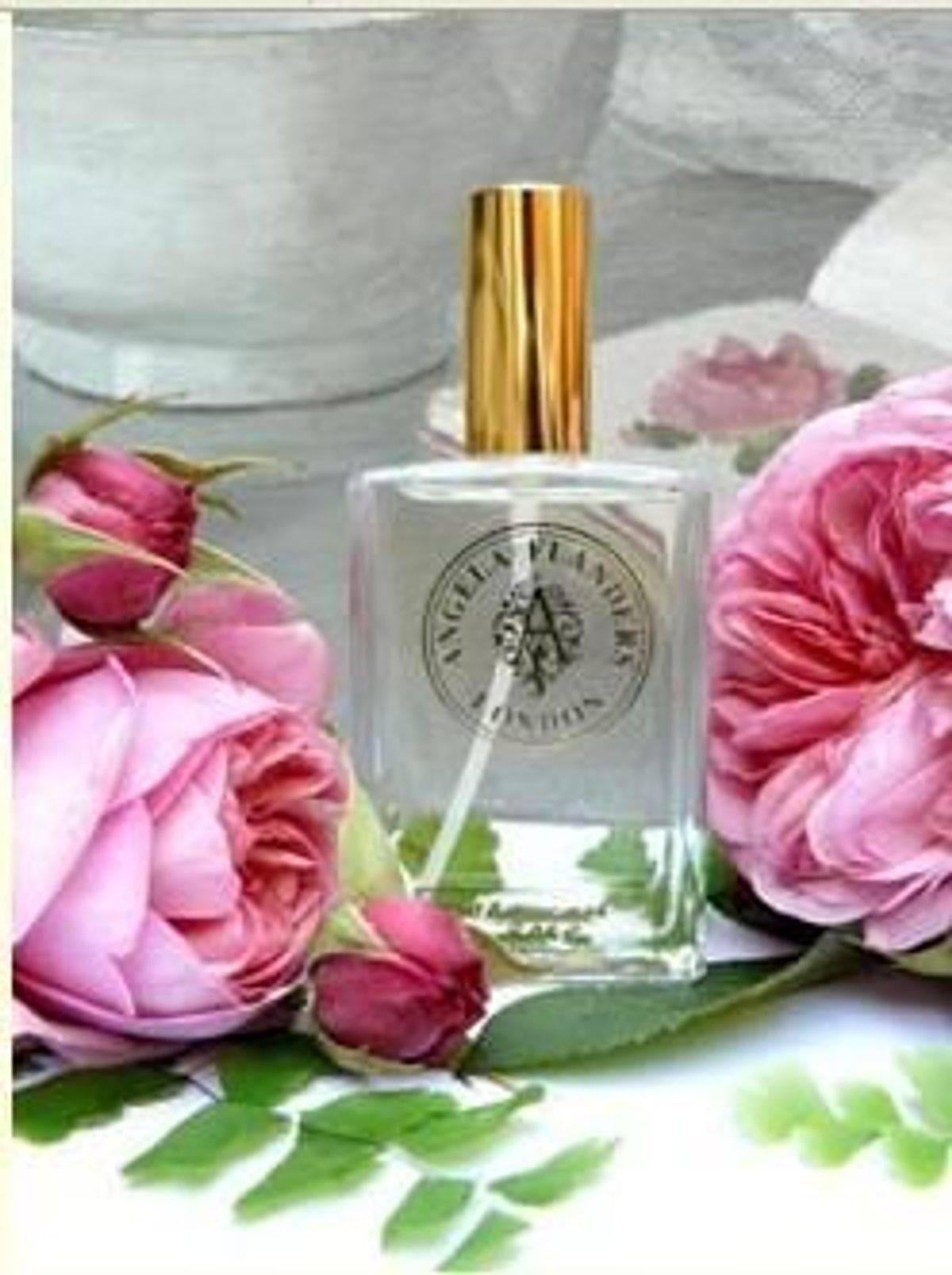 Moroccan Rose