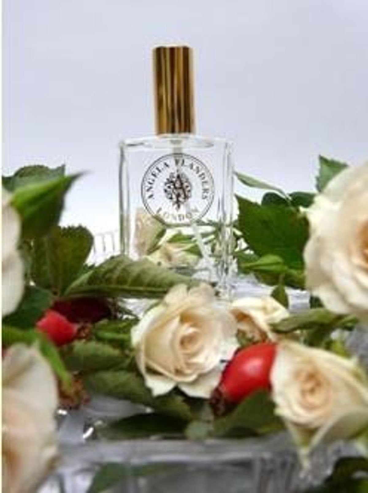 Rose Sauvage