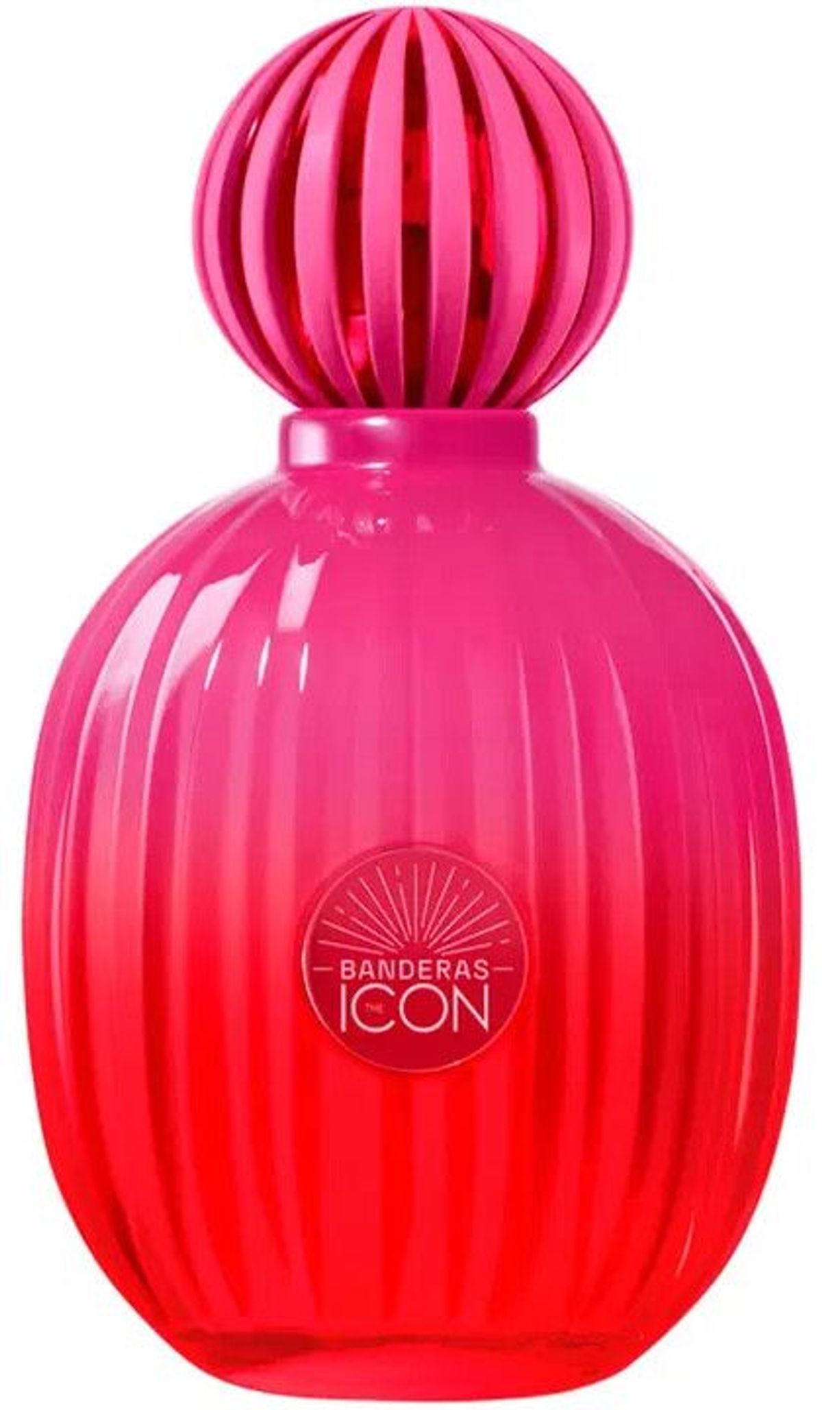 The Icon Supreme for Women