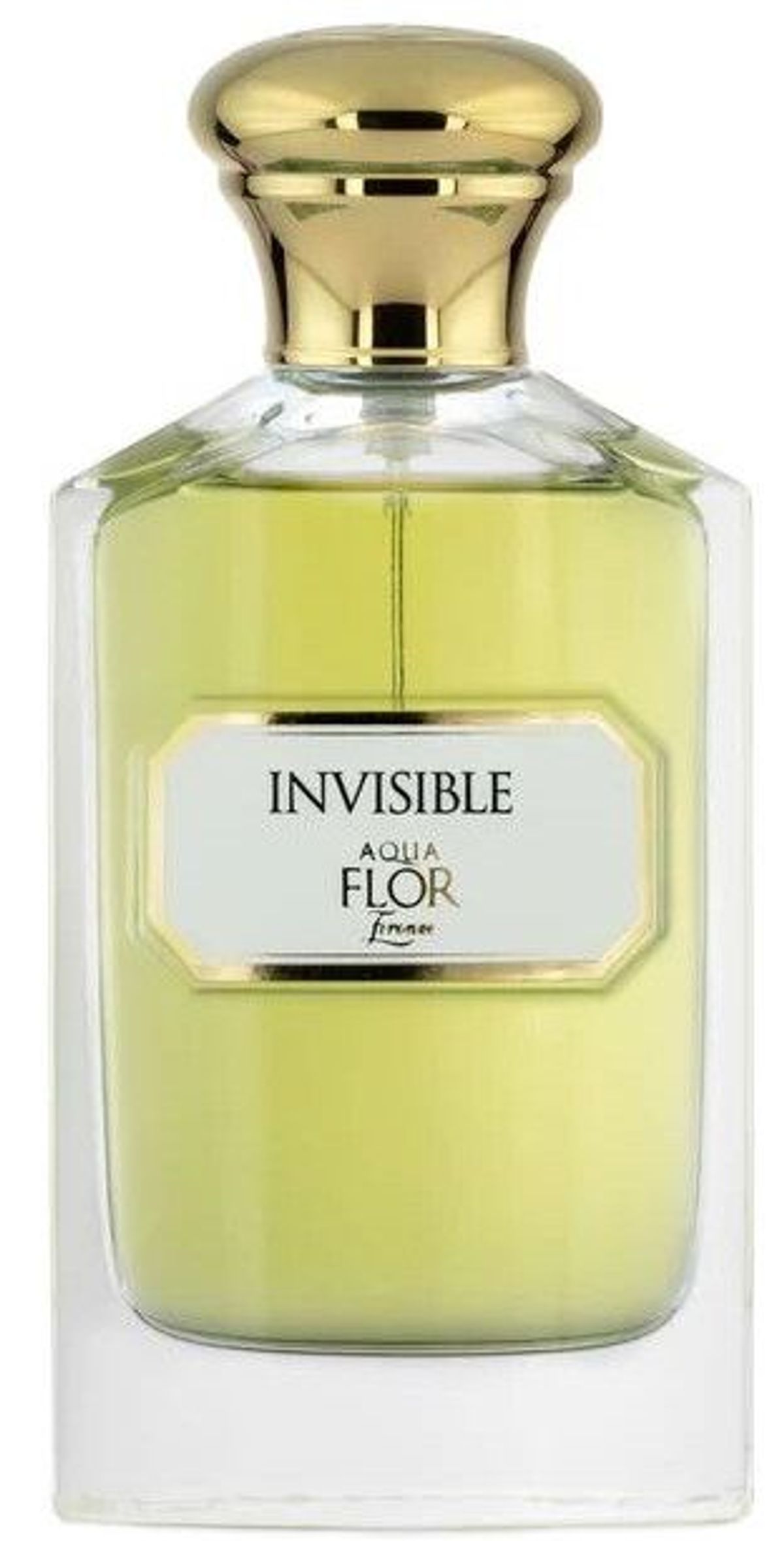 Invisible