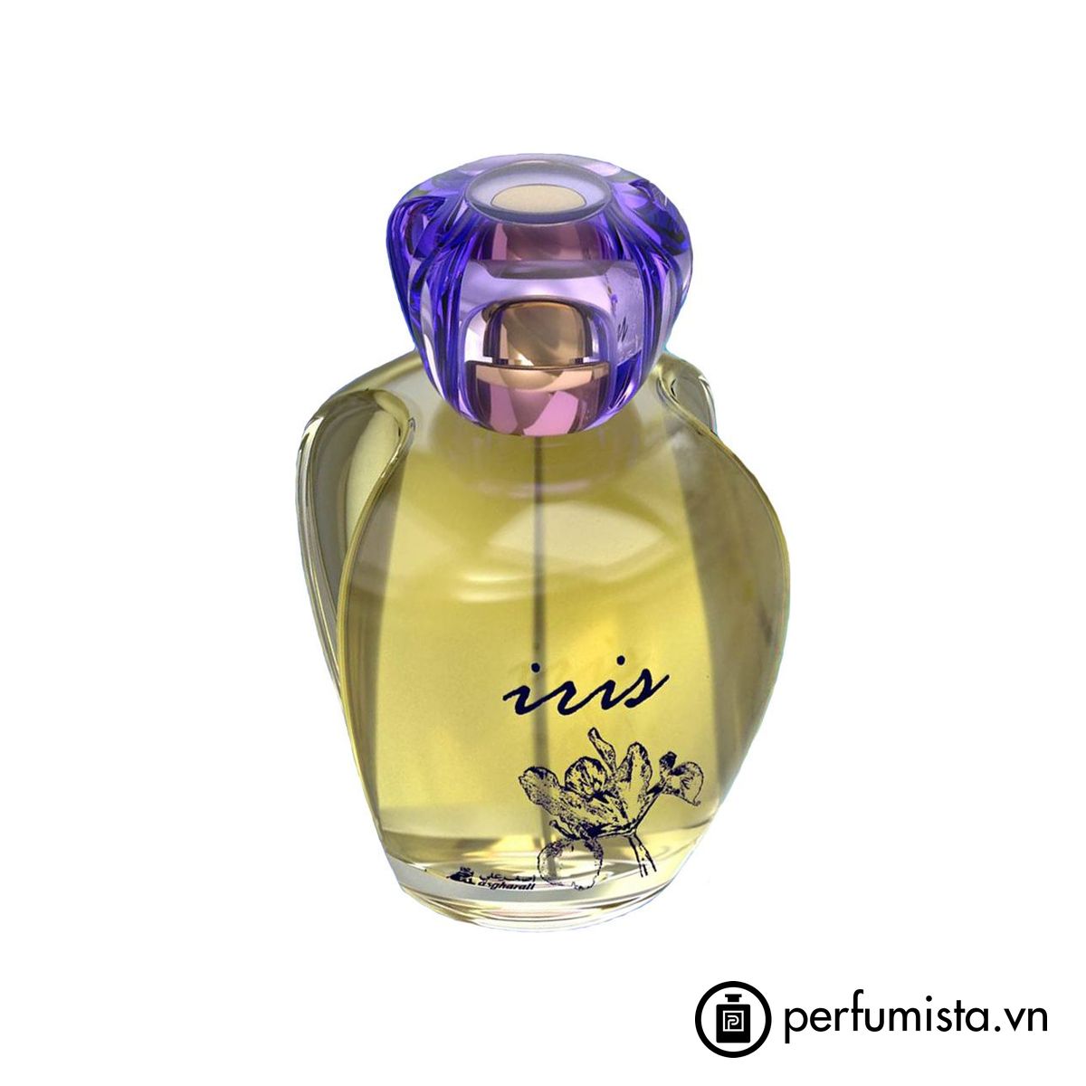 Iris