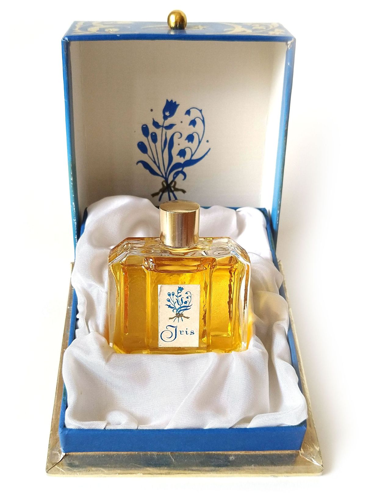 Modry Iris