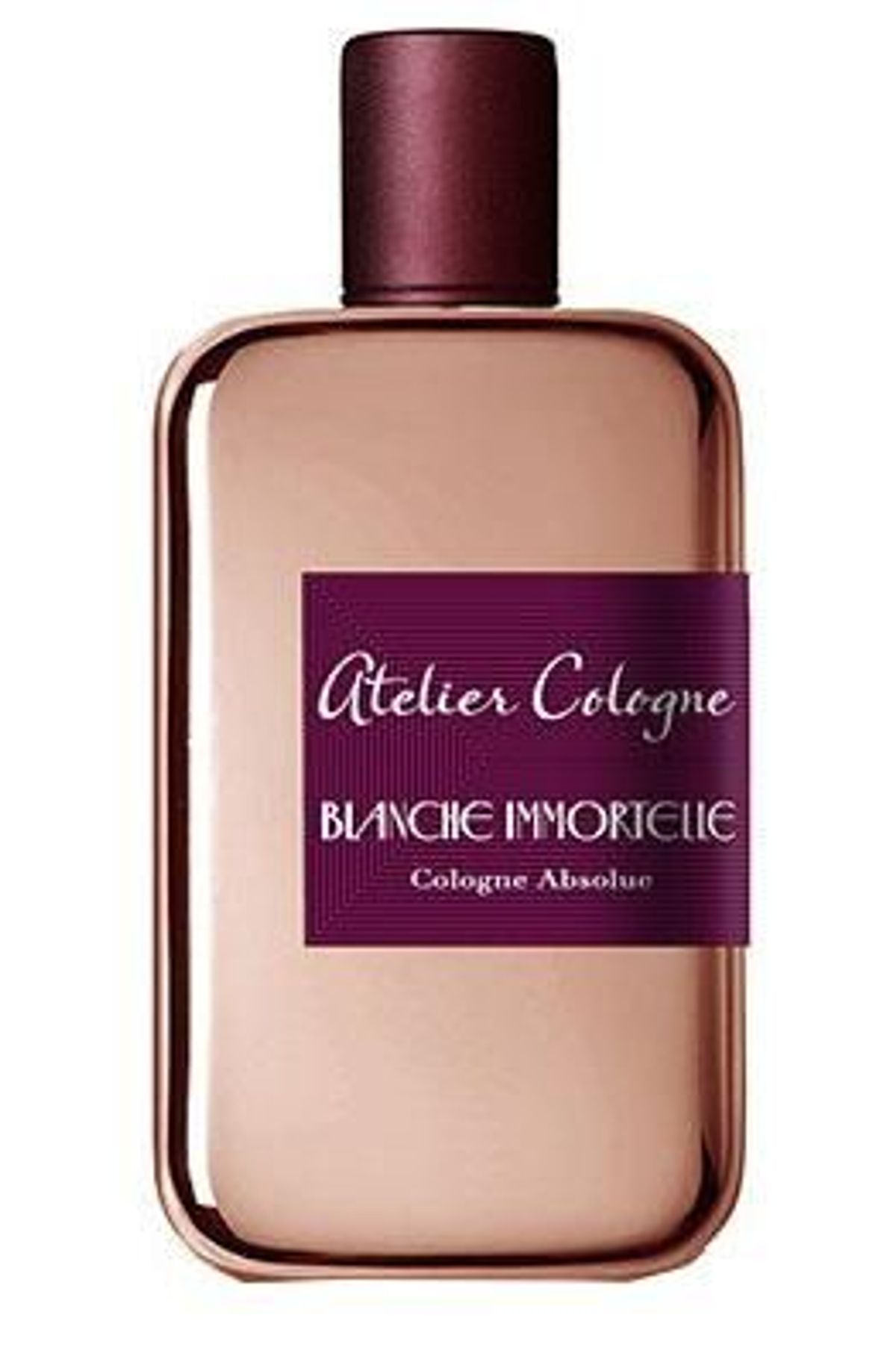 Blanche Immortelle