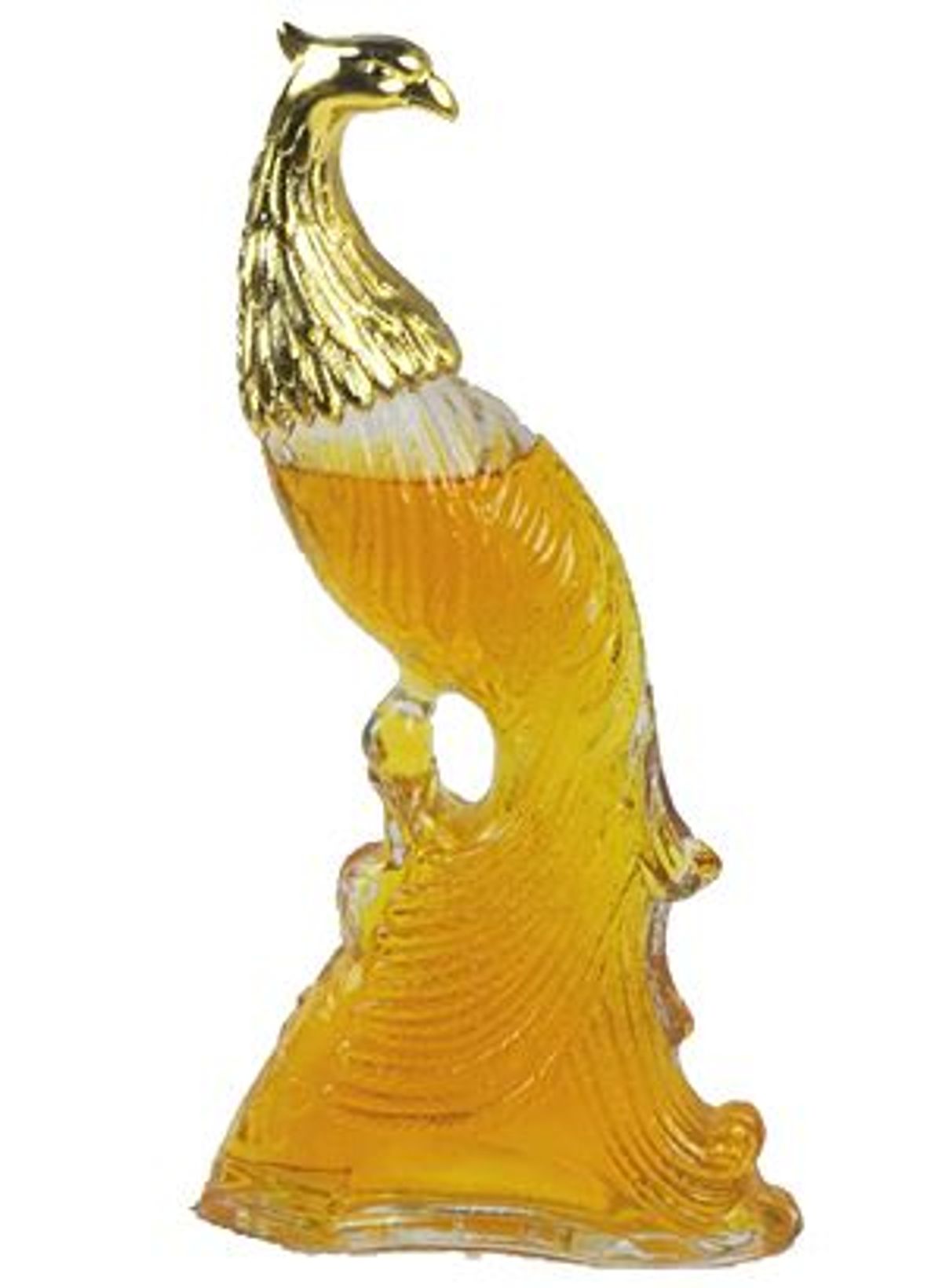 Bird of Paradise