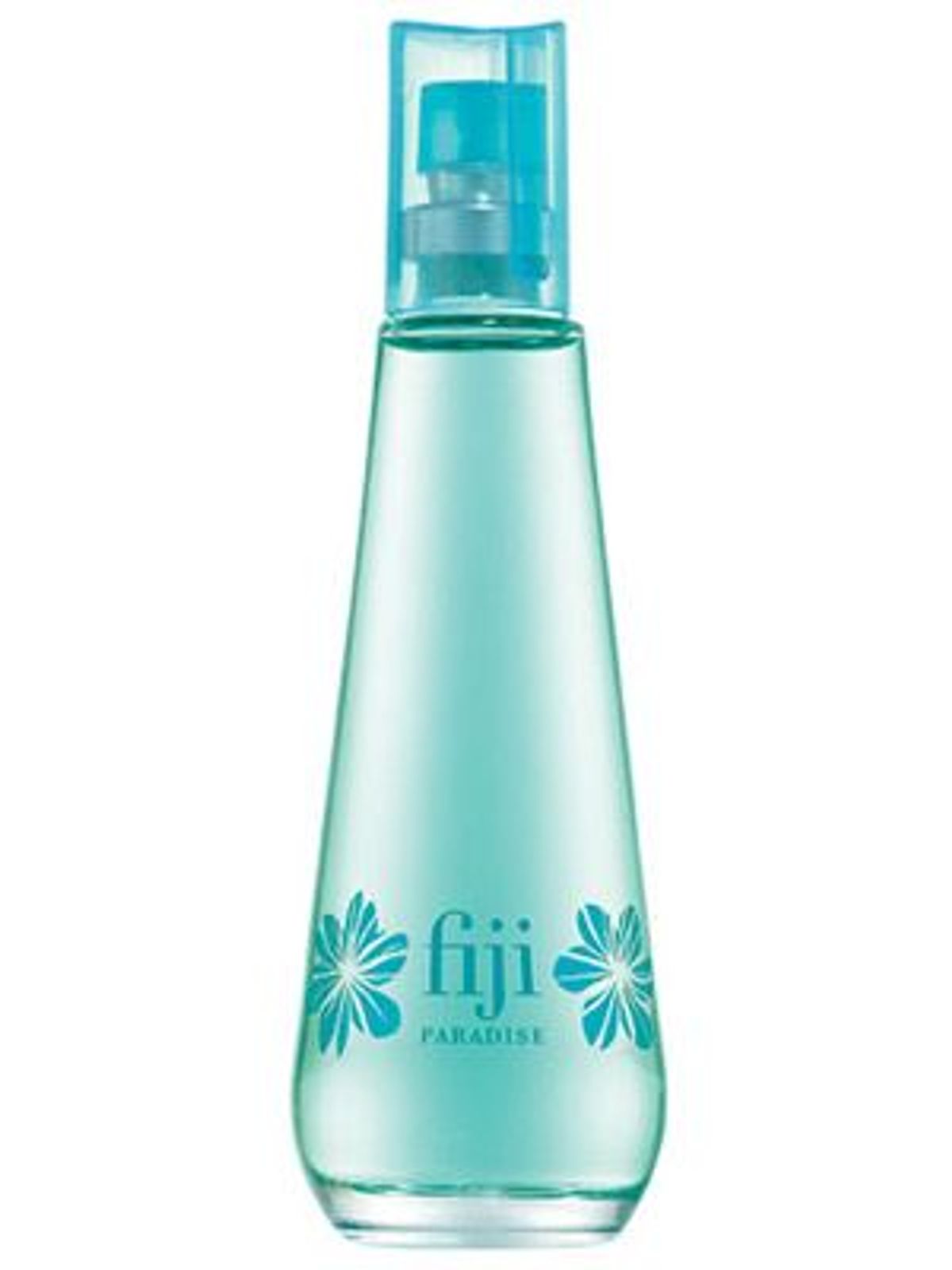 Fiji Paradise