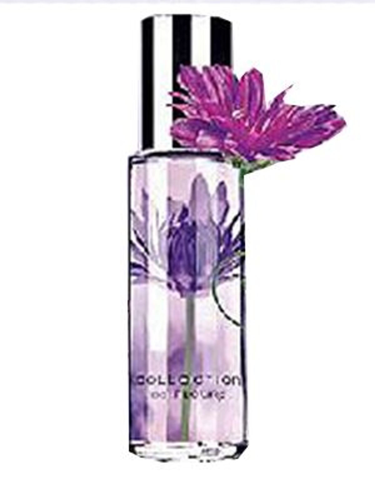 Passionate Purple