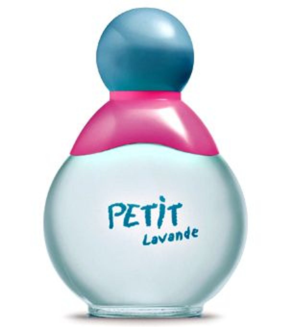 Petit Lavande