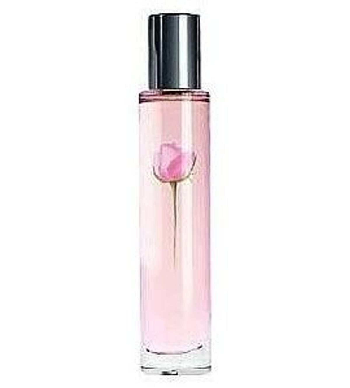 Sheer Rose