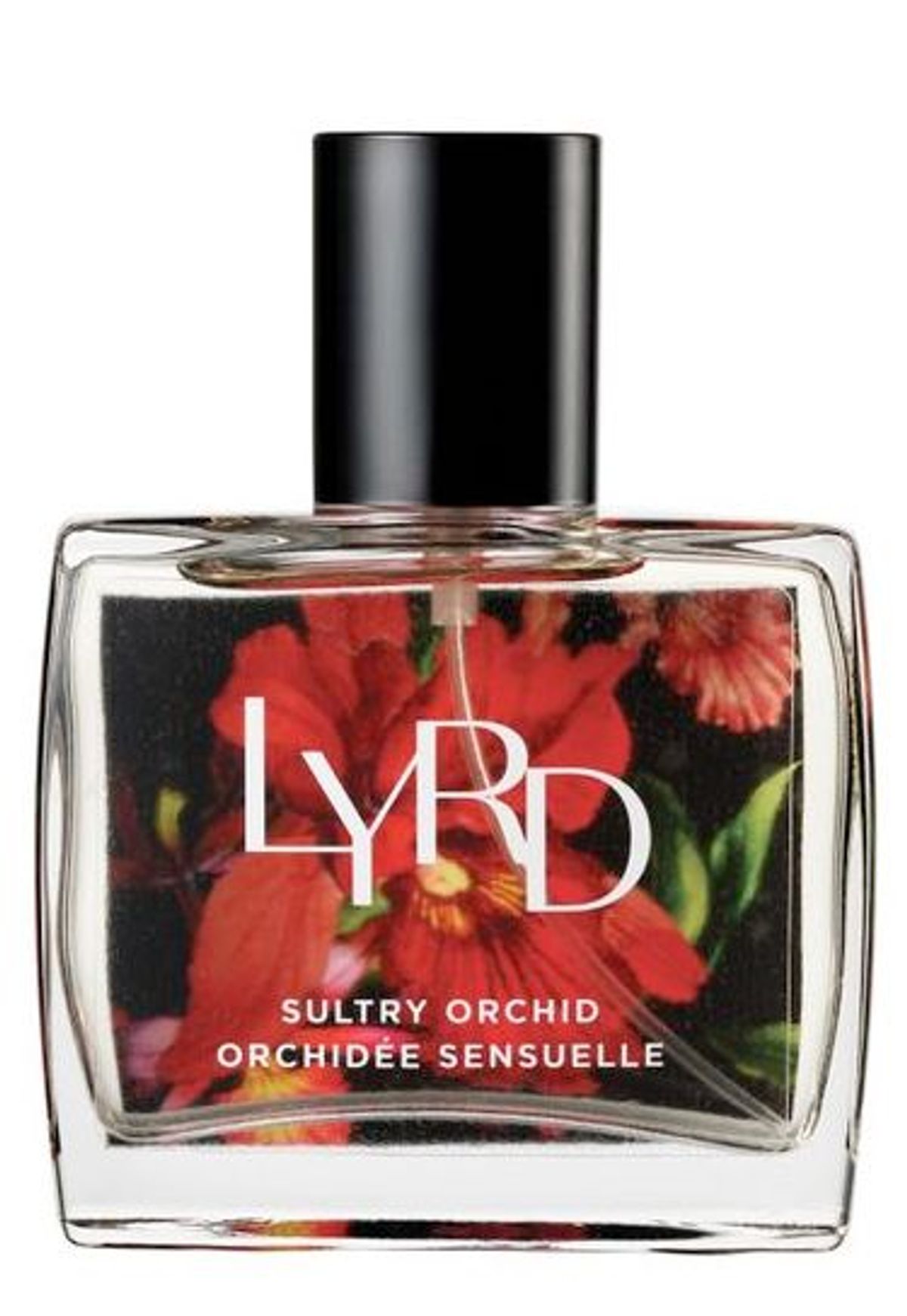 Sultry Orchid