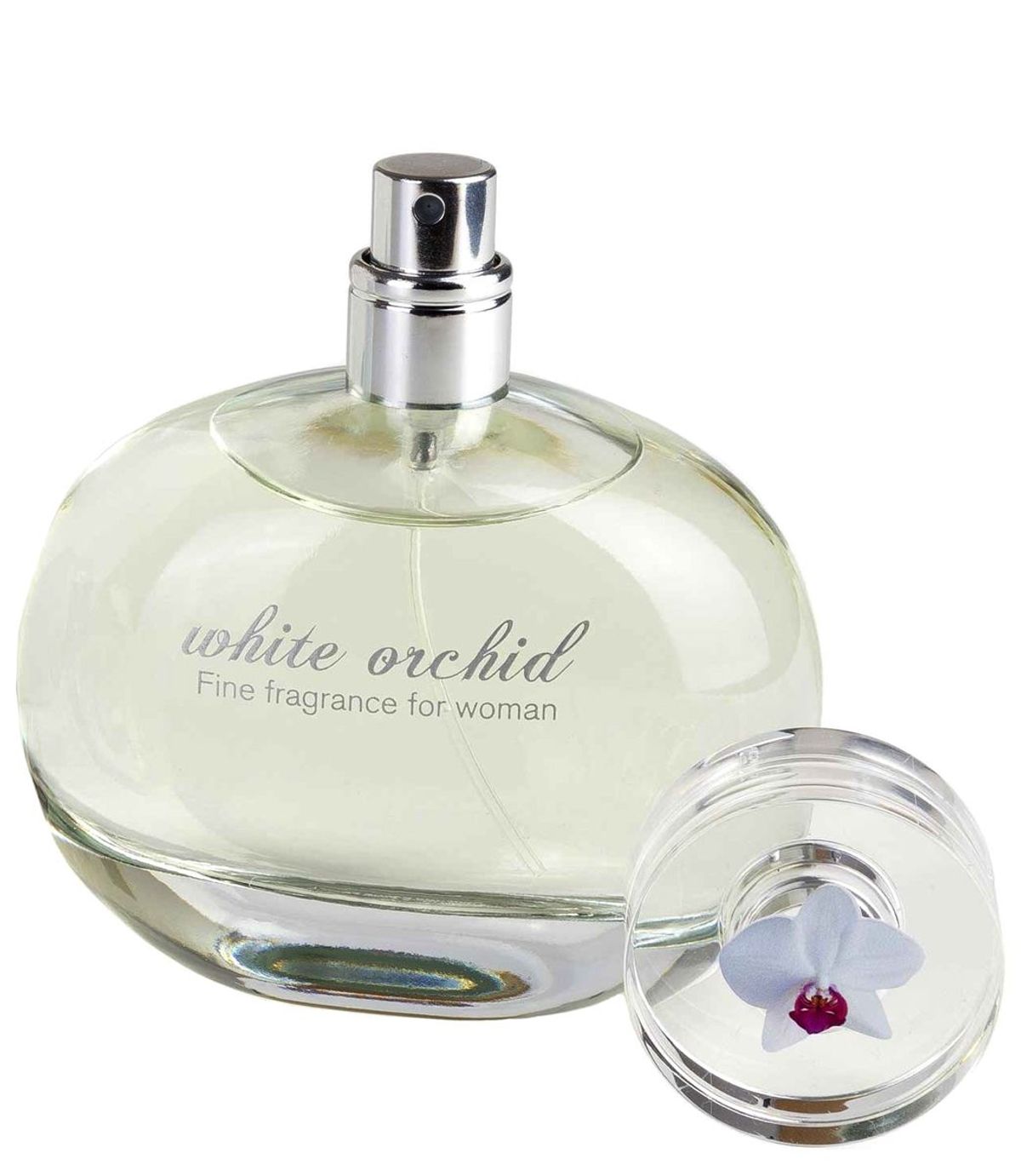 White Orchid