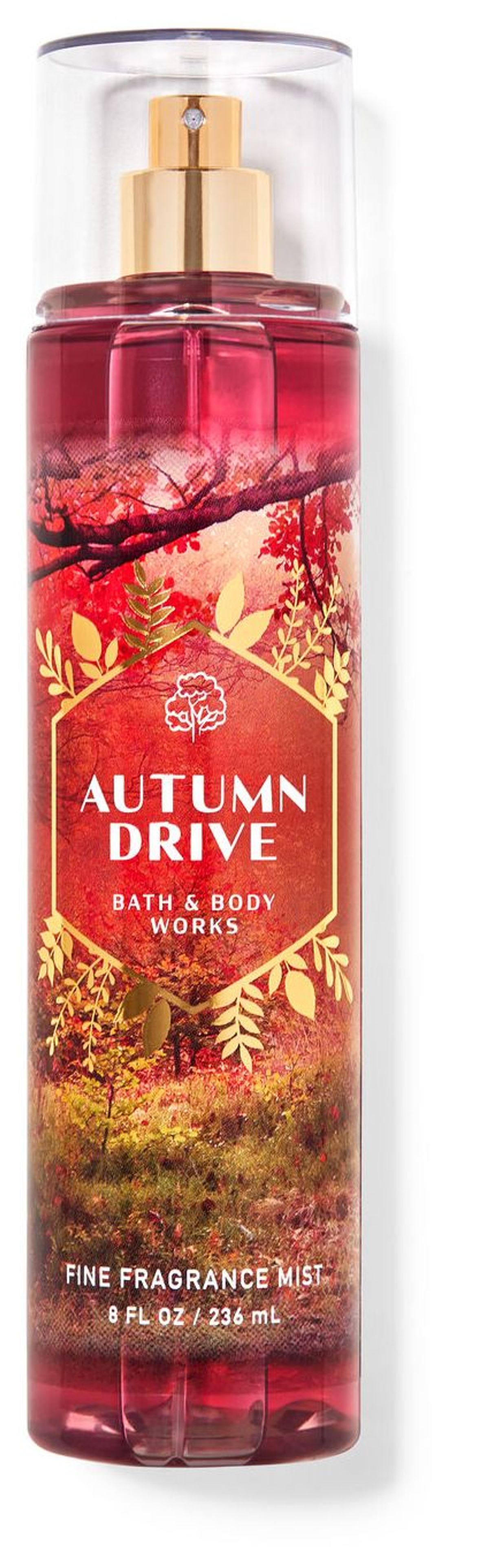 Autumn Drive
