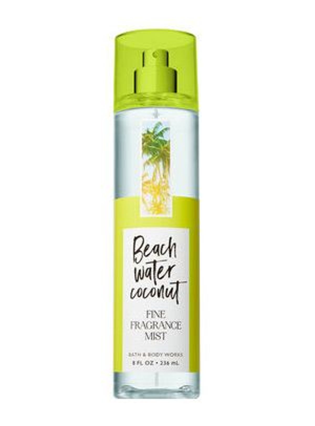 Beach Water Coconut