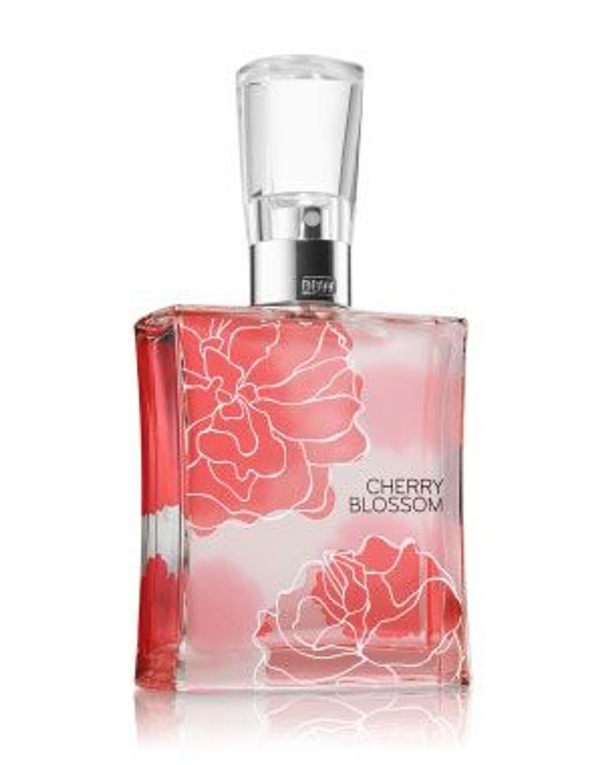 Cherry Blossom