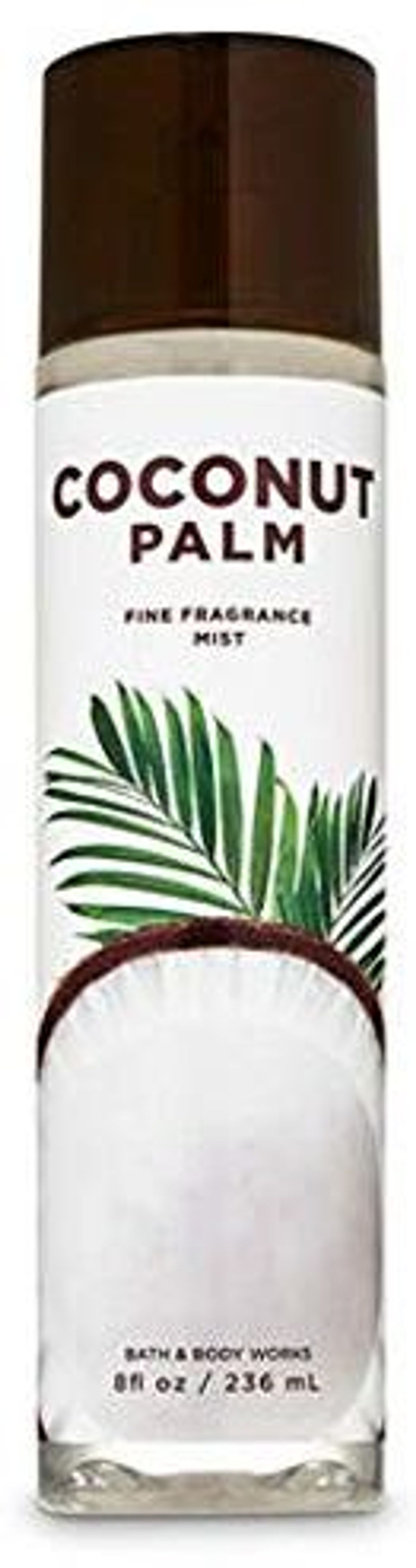 Coconut Palm
