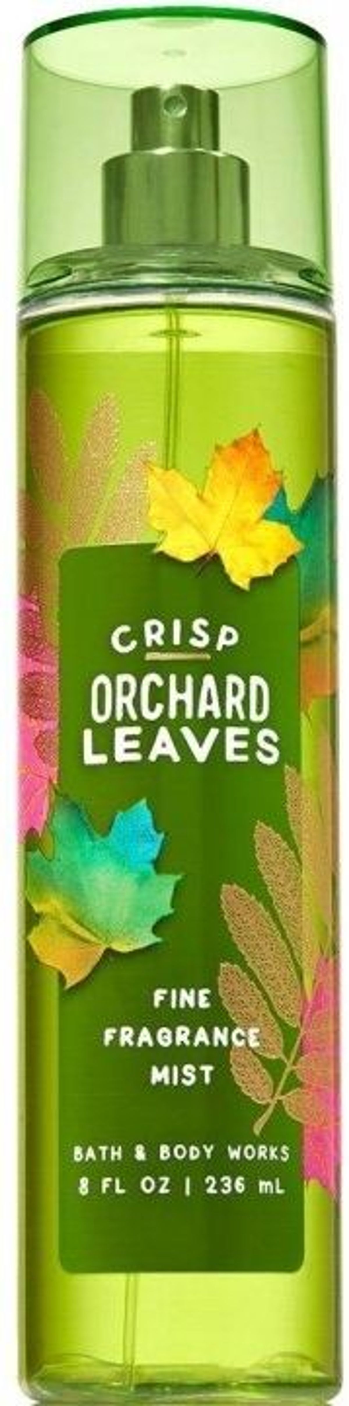 Crisp Orchard Leaves