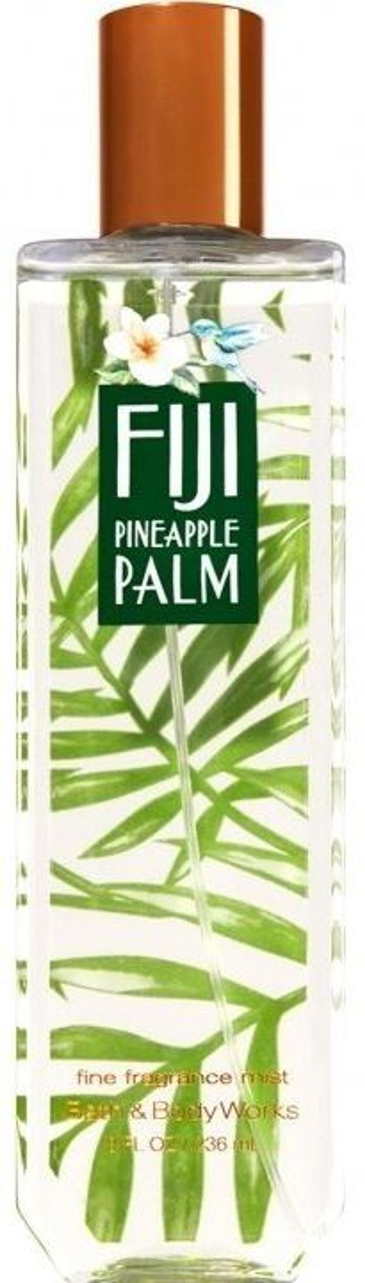 Fiji Pineapple Palm