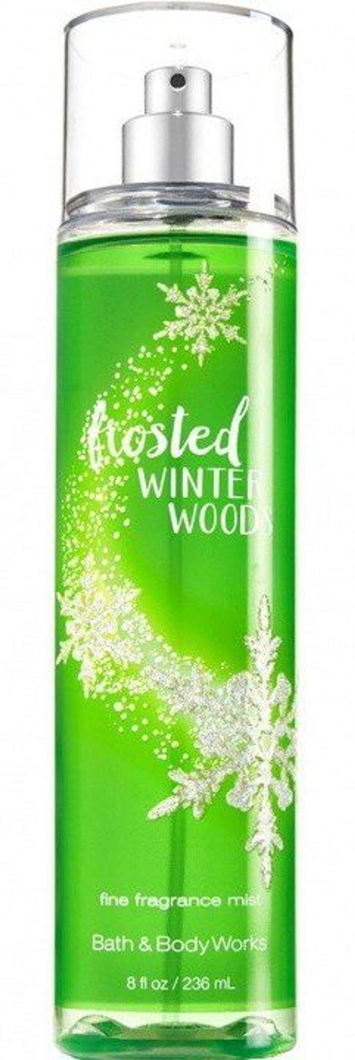 Frosted Winter Woods