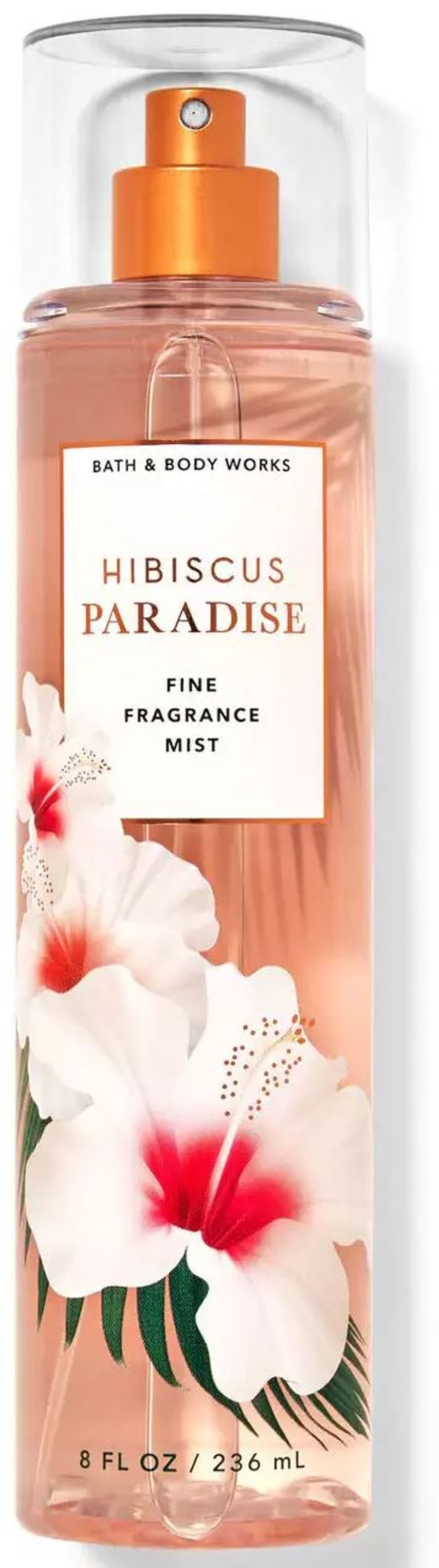 Hibiscus Paradise