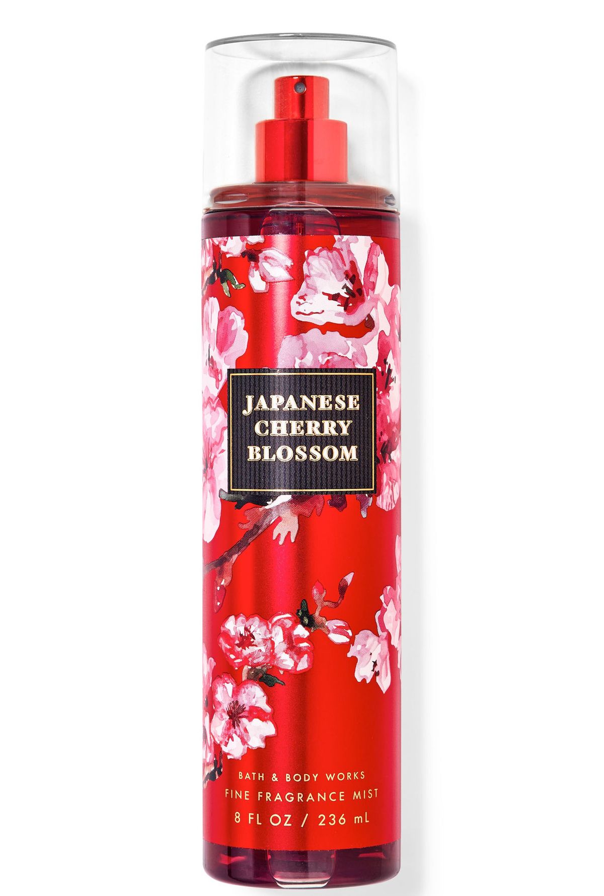 Japanese Cherry Blossom