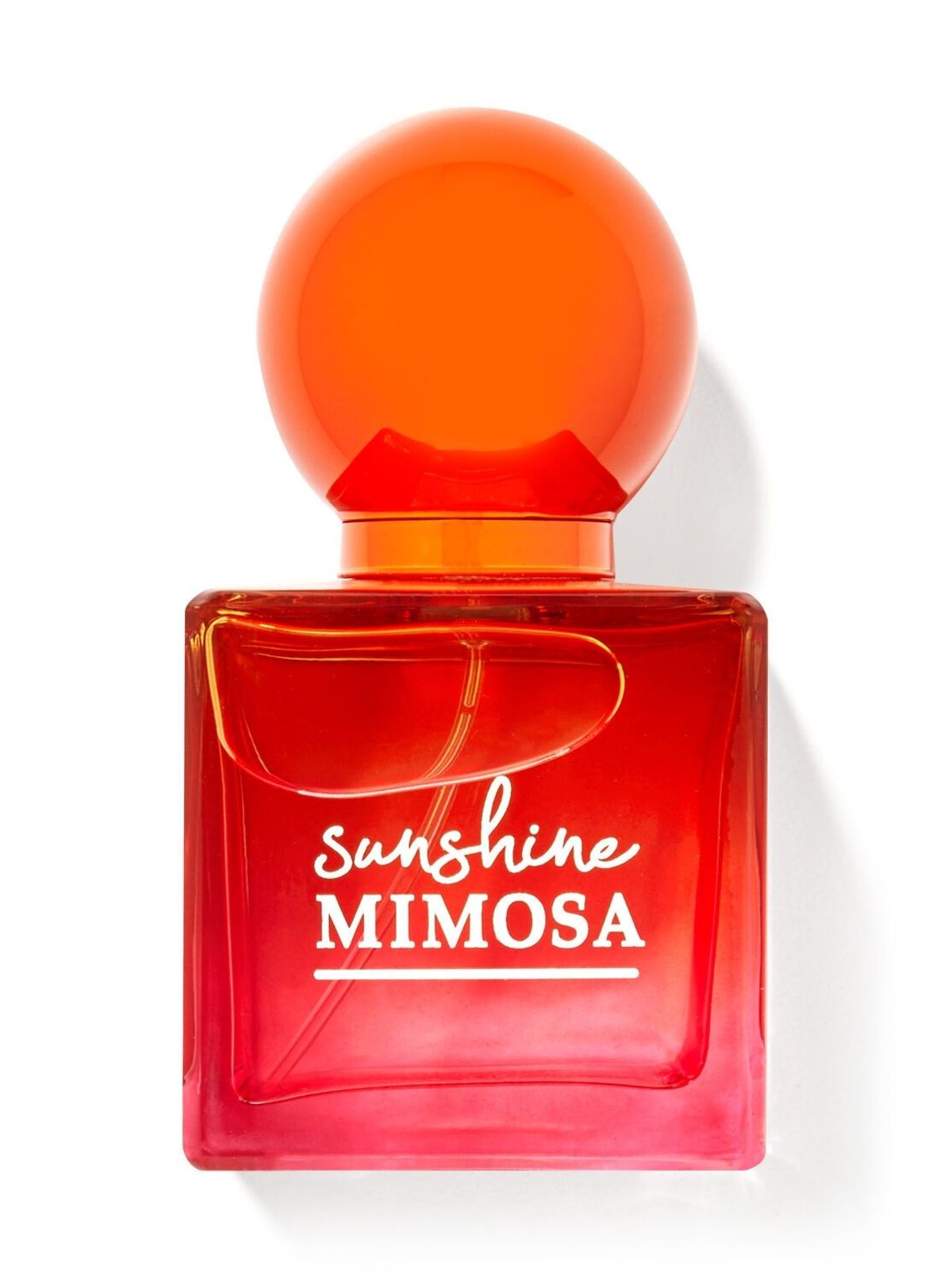Sunshine Mimosa