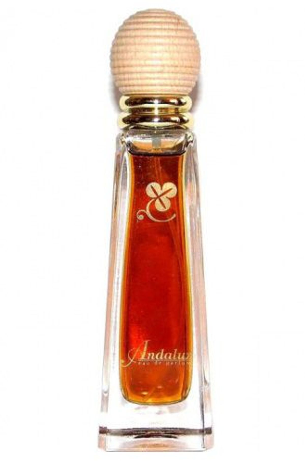 Andaluz