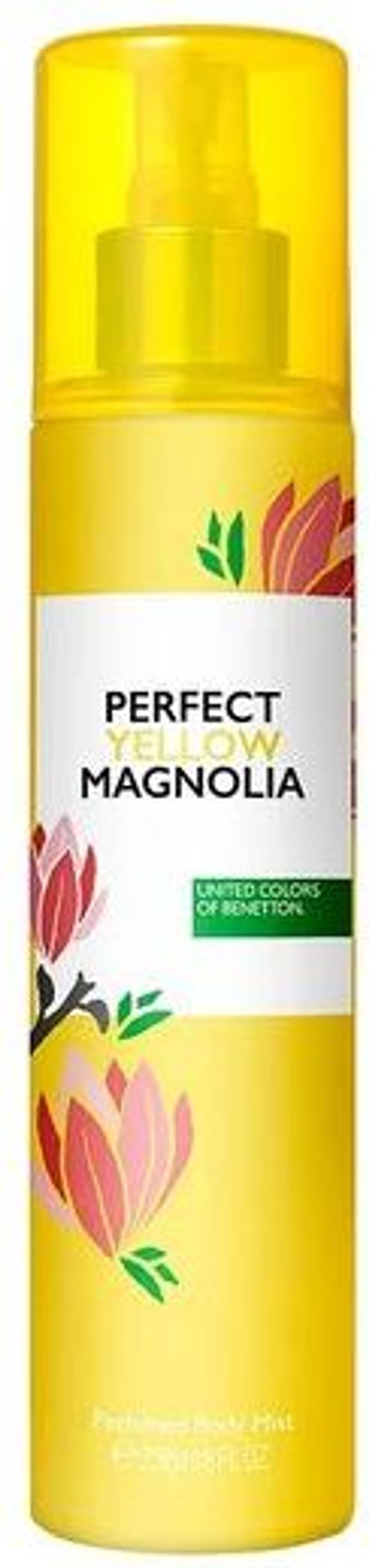 Perfect Yellow Magnolia