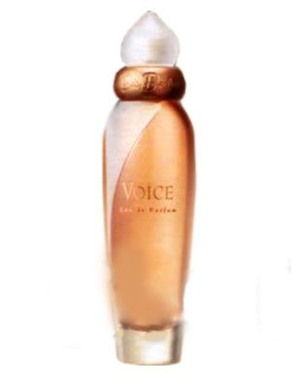 Voice