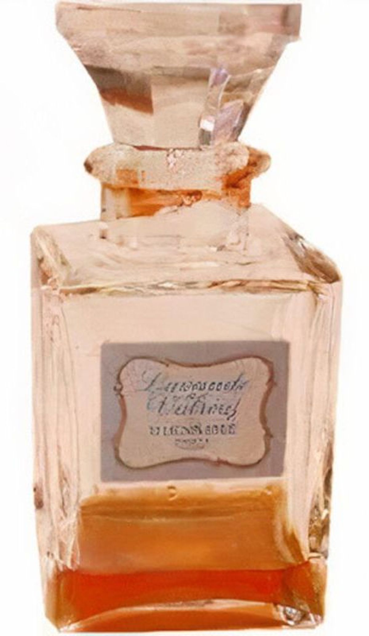 Lavande de Valréas