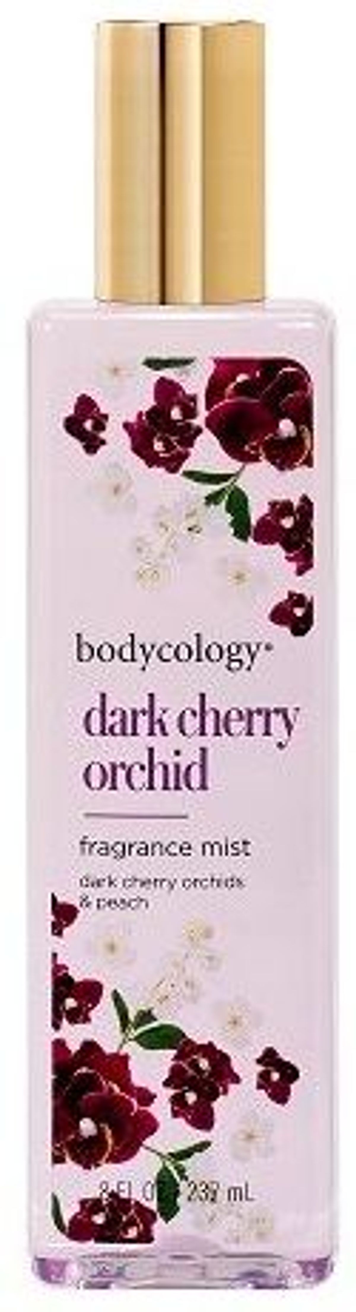 Dark Cherry Orchid