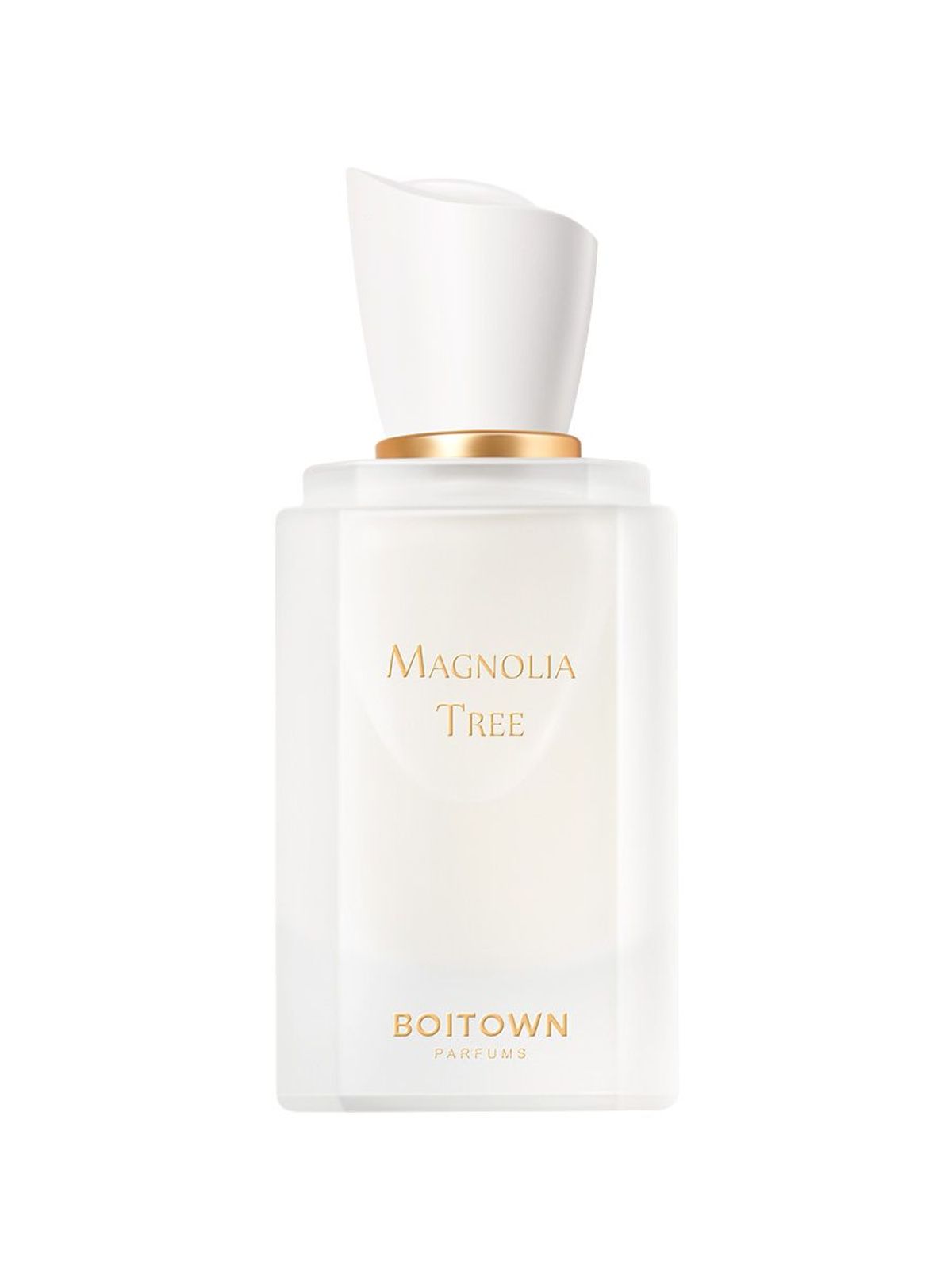 Magnolia Tree	一树玉兰
