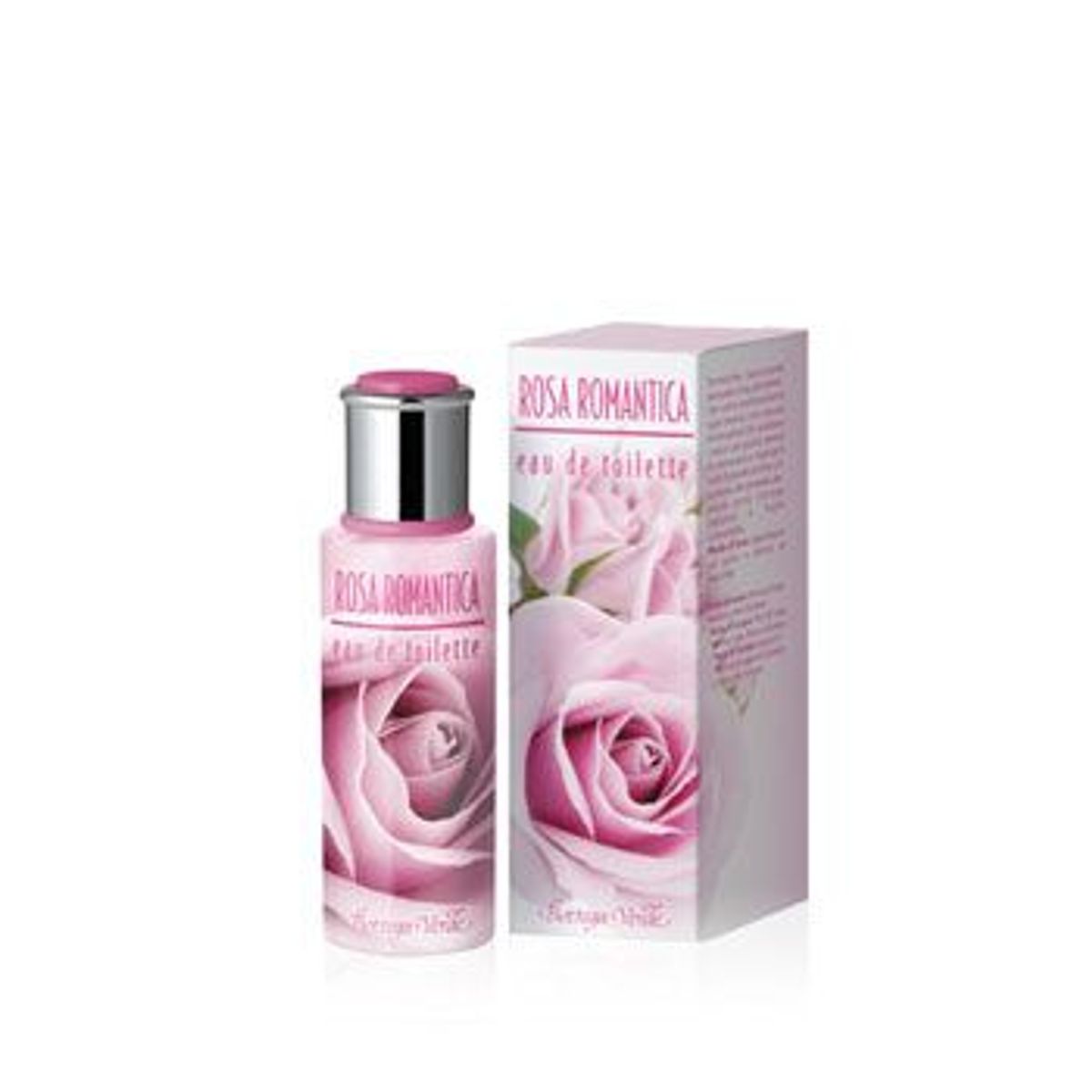 Rosa Romantica