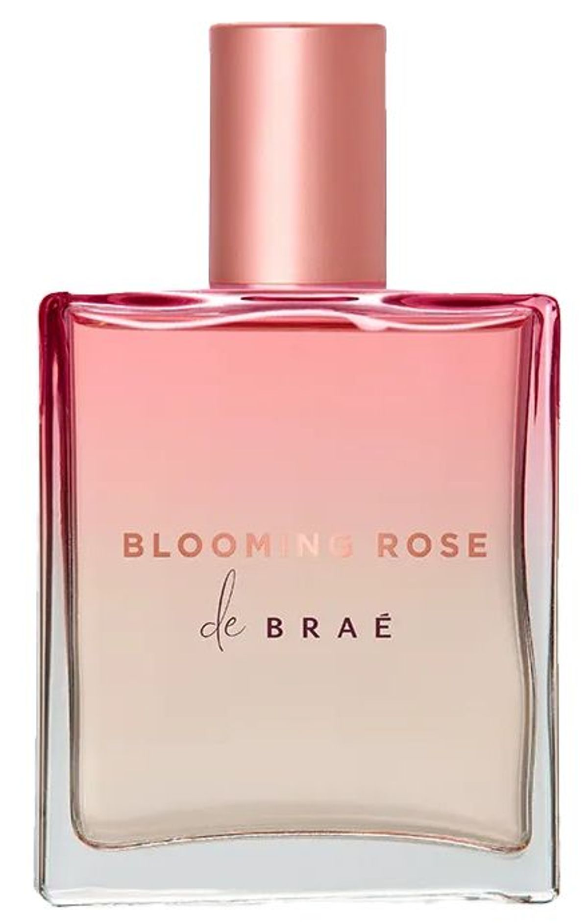 Blooming Rose