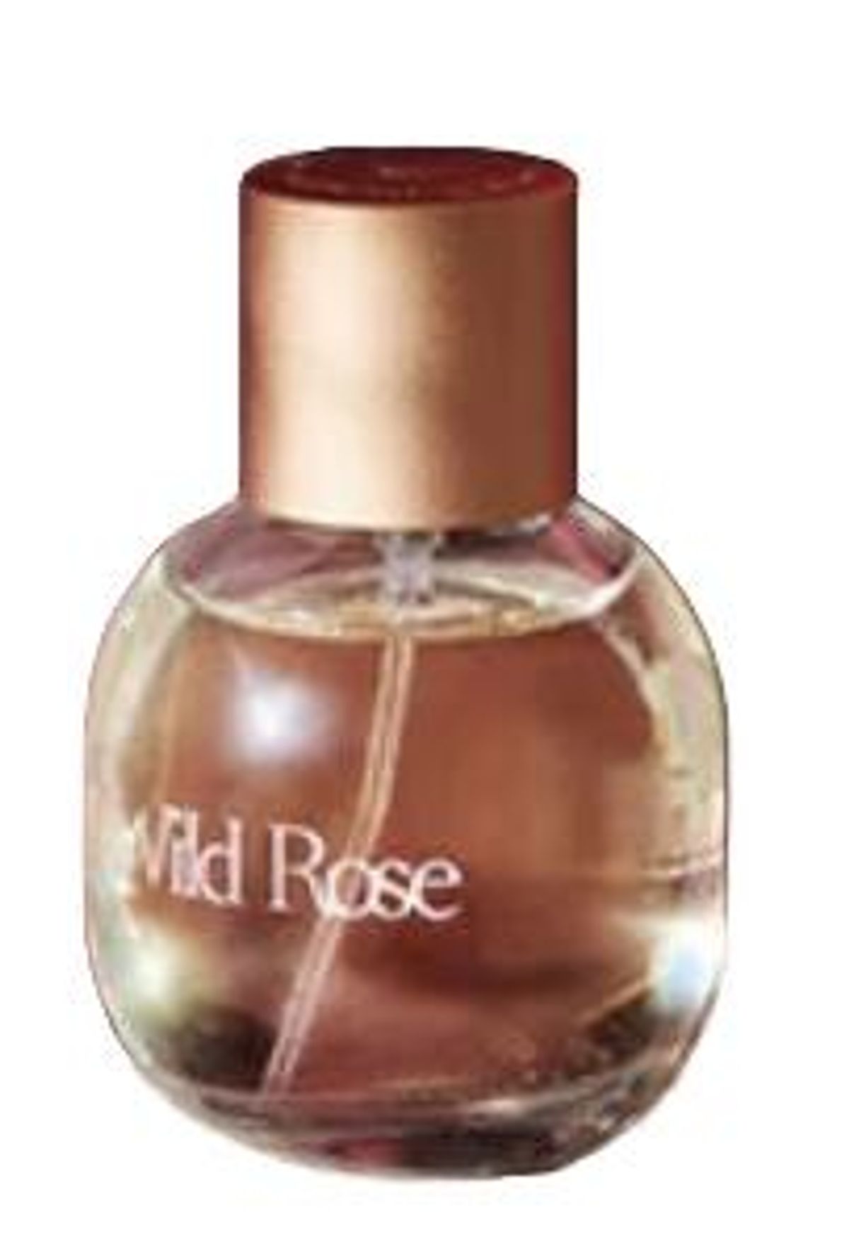 Wild Rose